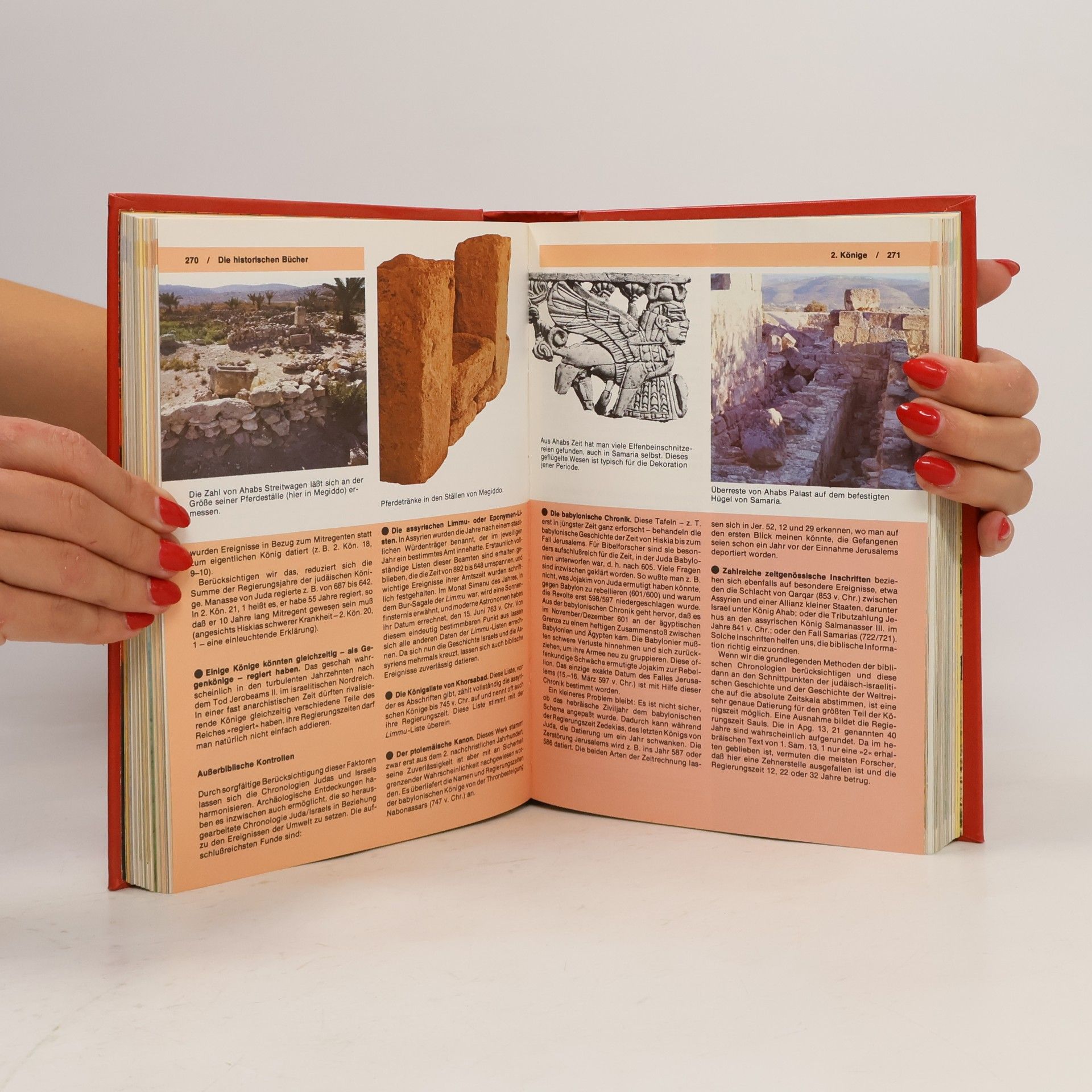 Pat Alexander Handbuch zur Bibel