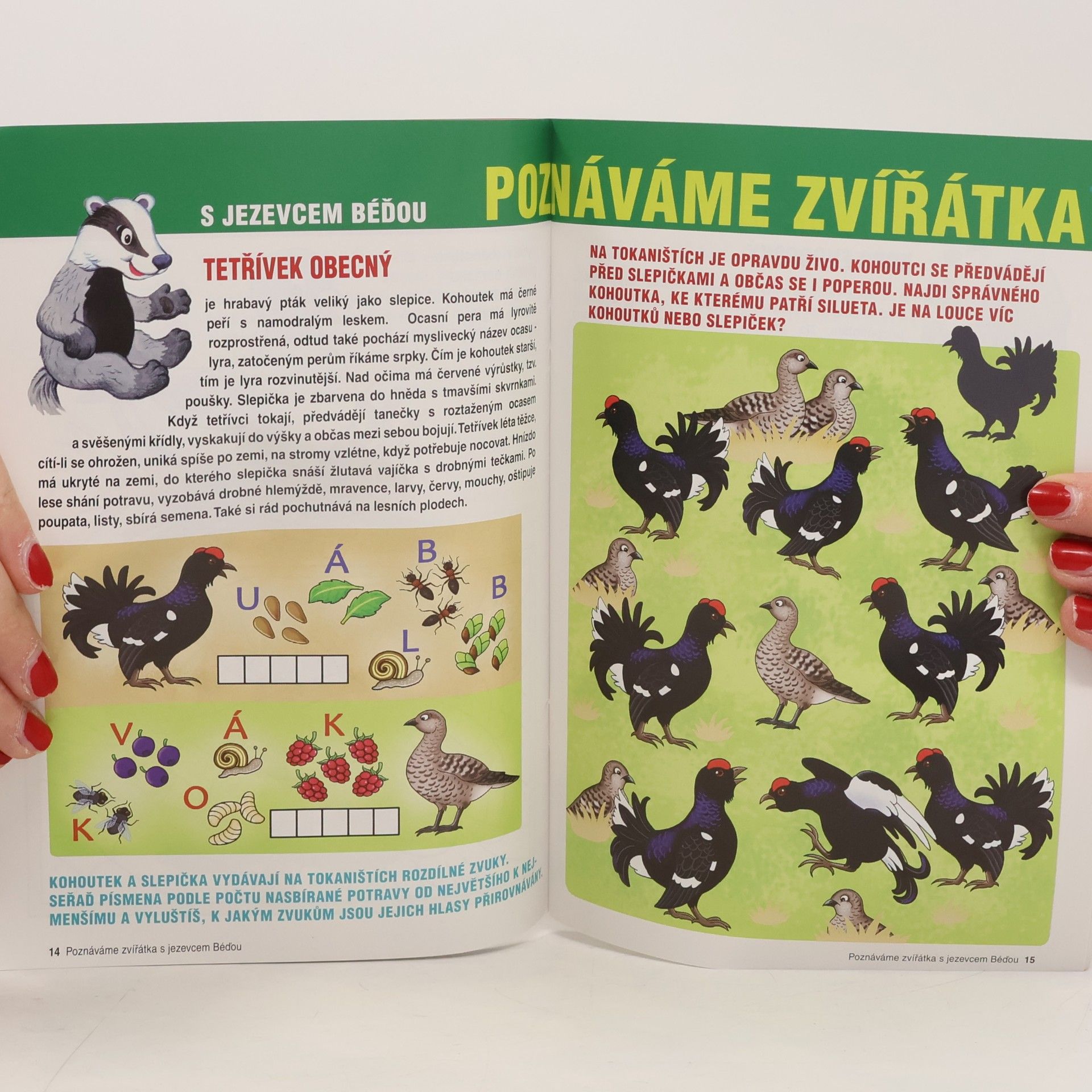 Kolektiv autorů Poznáváme zvířátka s jezevcem Béďou