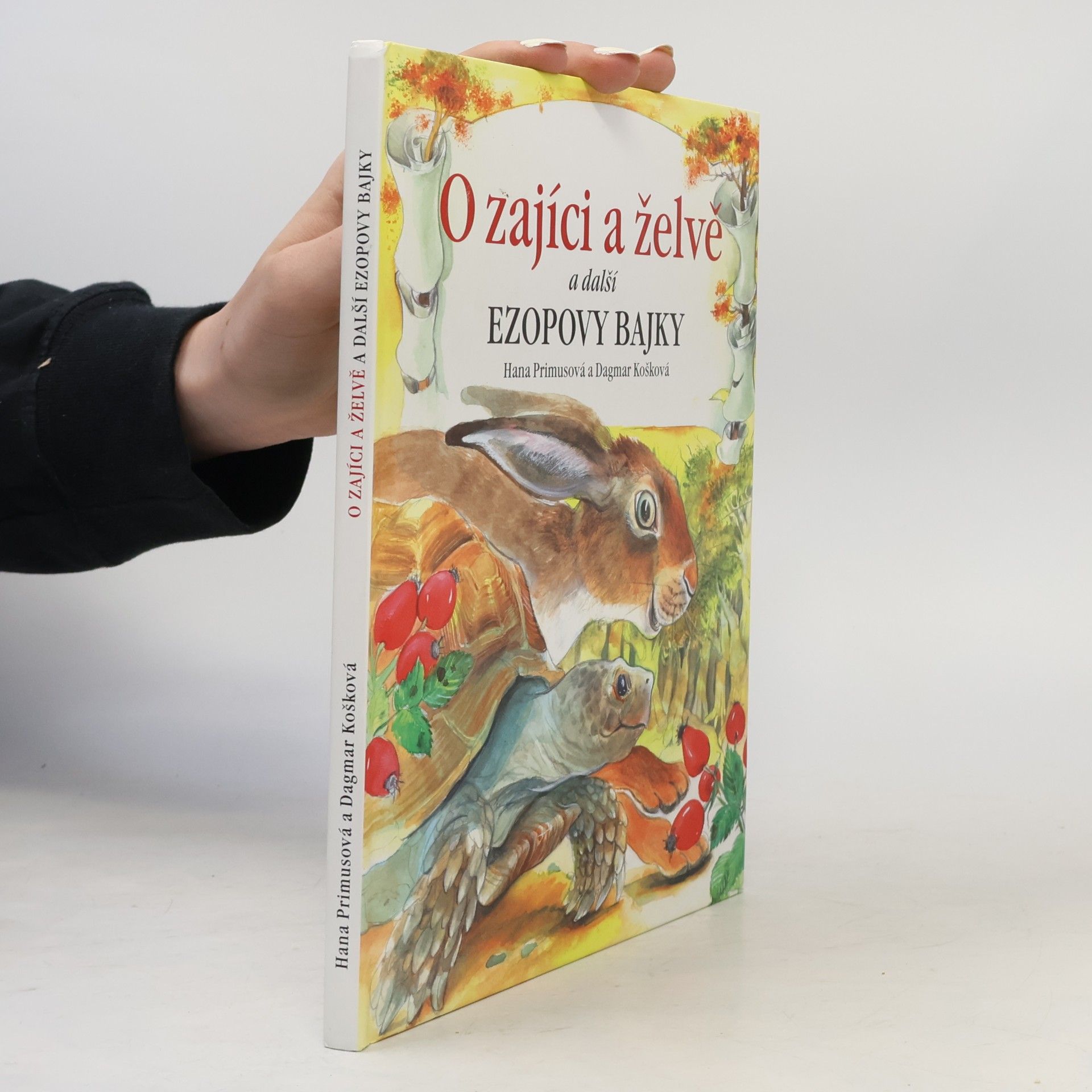 Dagmar Košková O zajíci a želvě a další Ezopovy bajky