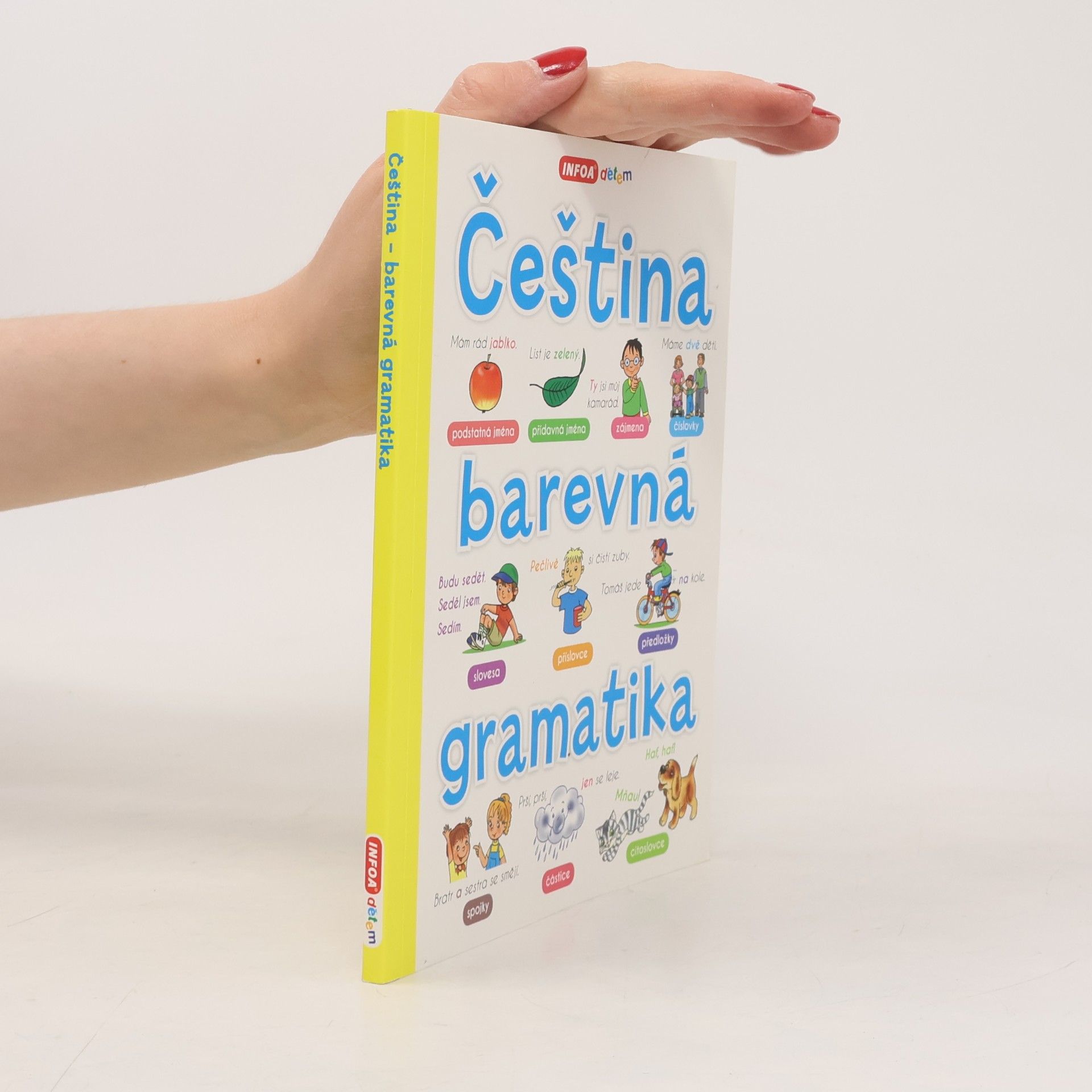 Antonín Šplíchal Čeština - barevná gramatika