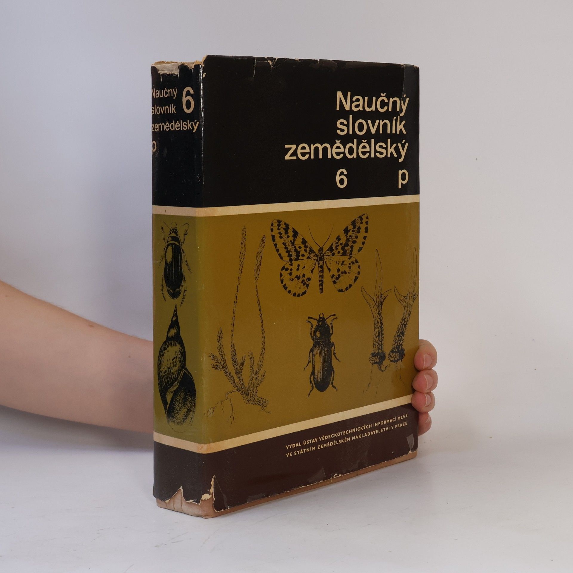 AA.VV. Naučný slovník zemědělský 6 - P