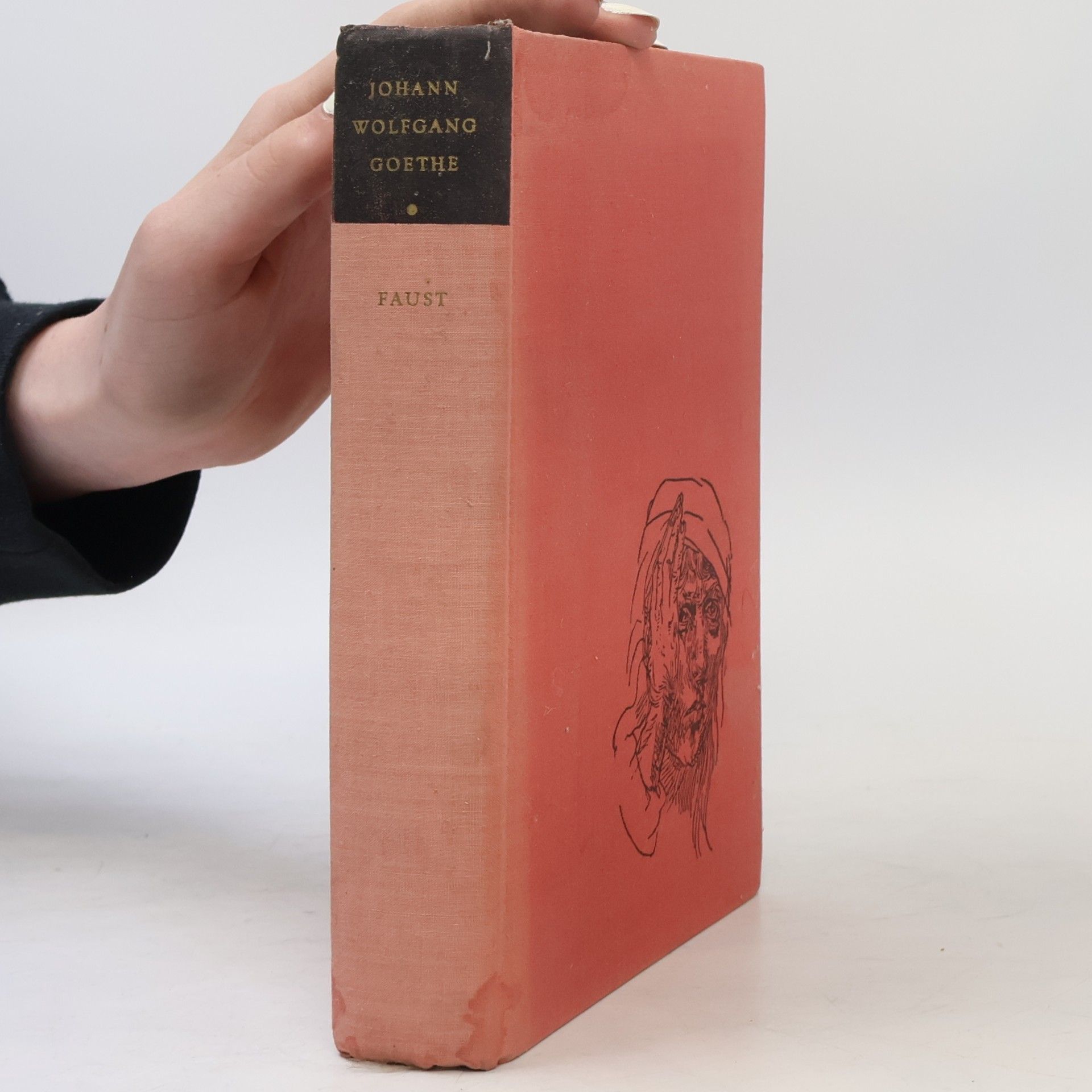 Johann Wolfgang von Goethe Faust