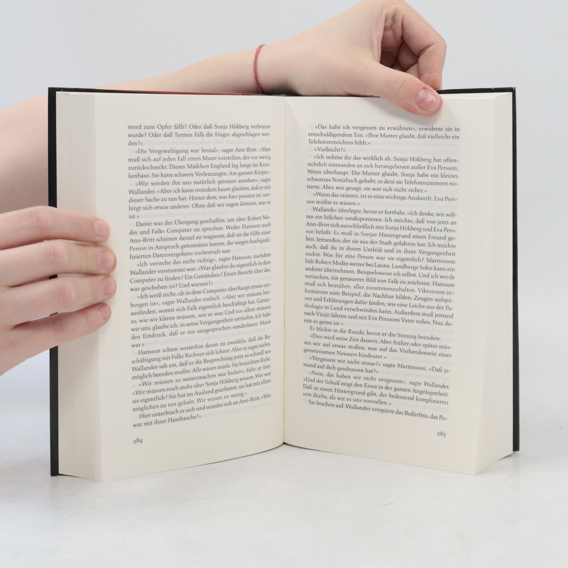 Henning Mankell Die Brandmauer