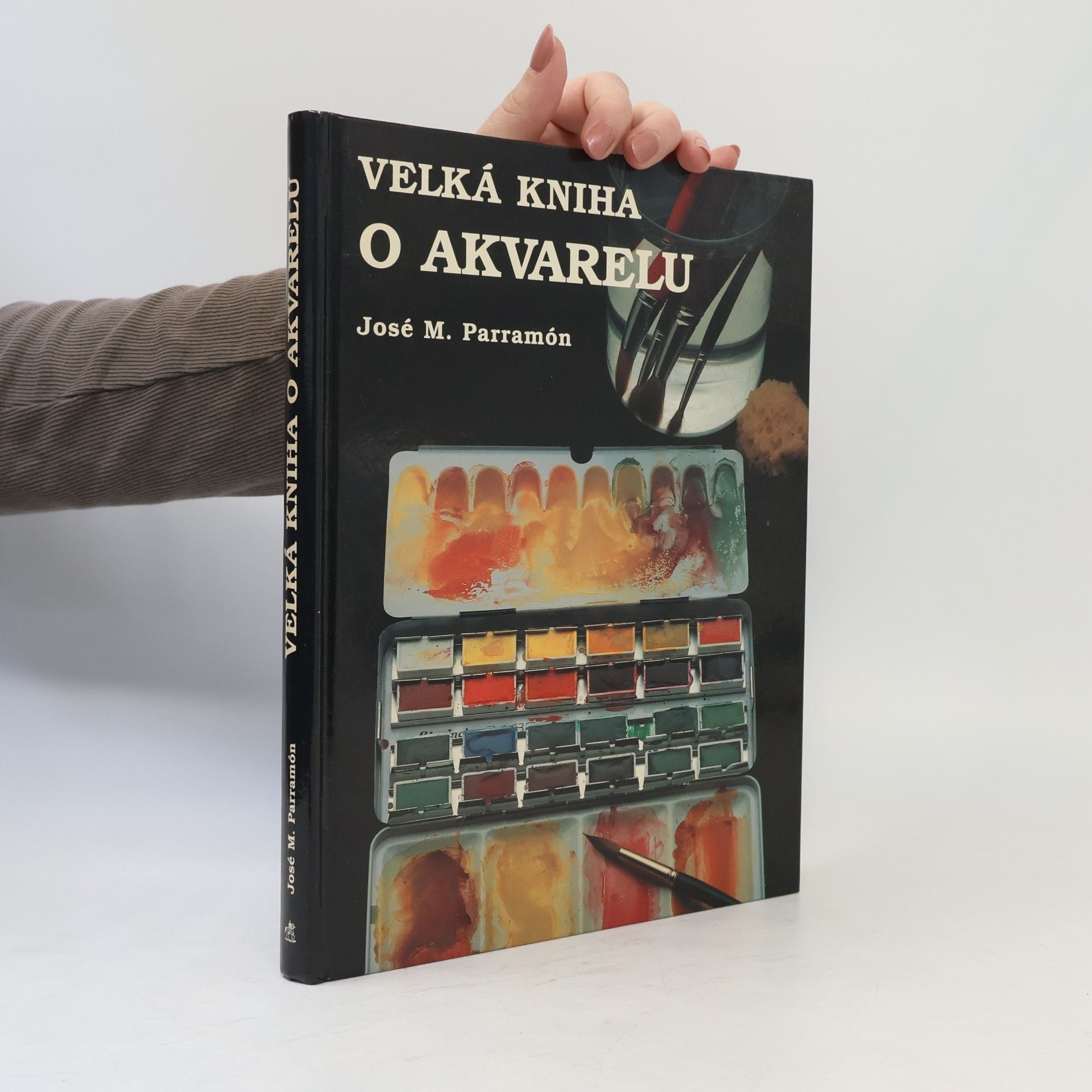Magdalena Pechová Velká kniha o akvarelu