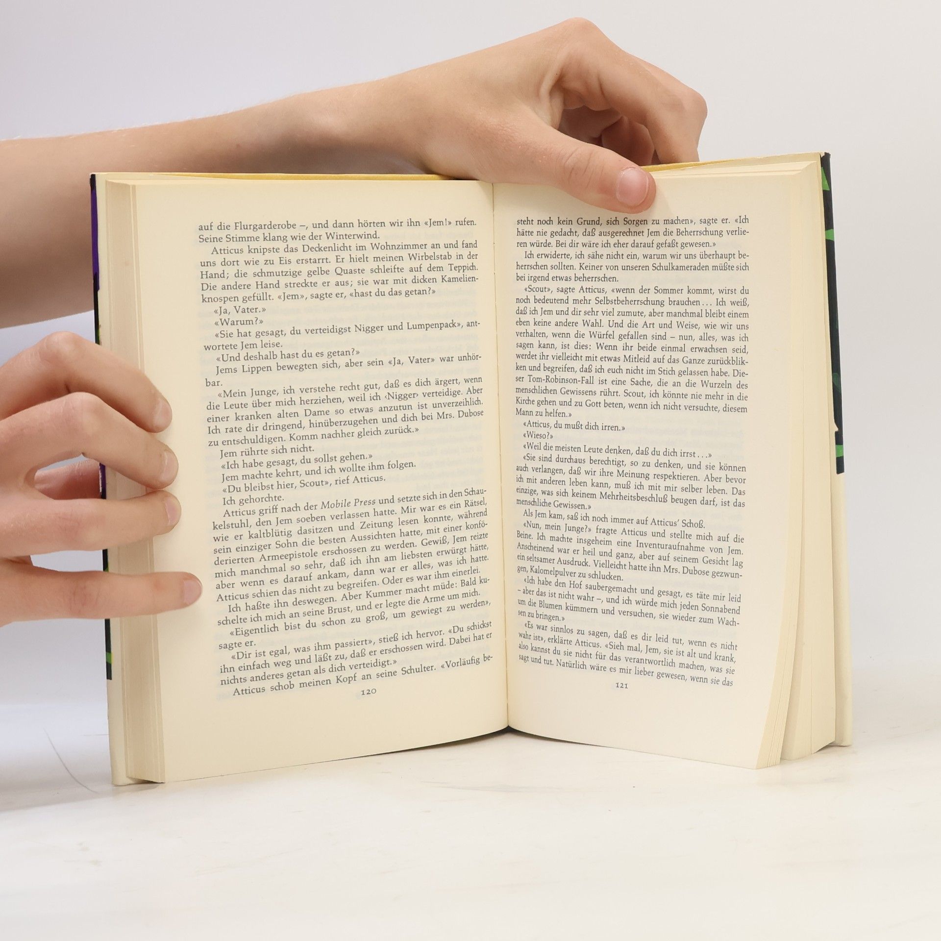 Harper Lee Wer die Nachtigall stört ...