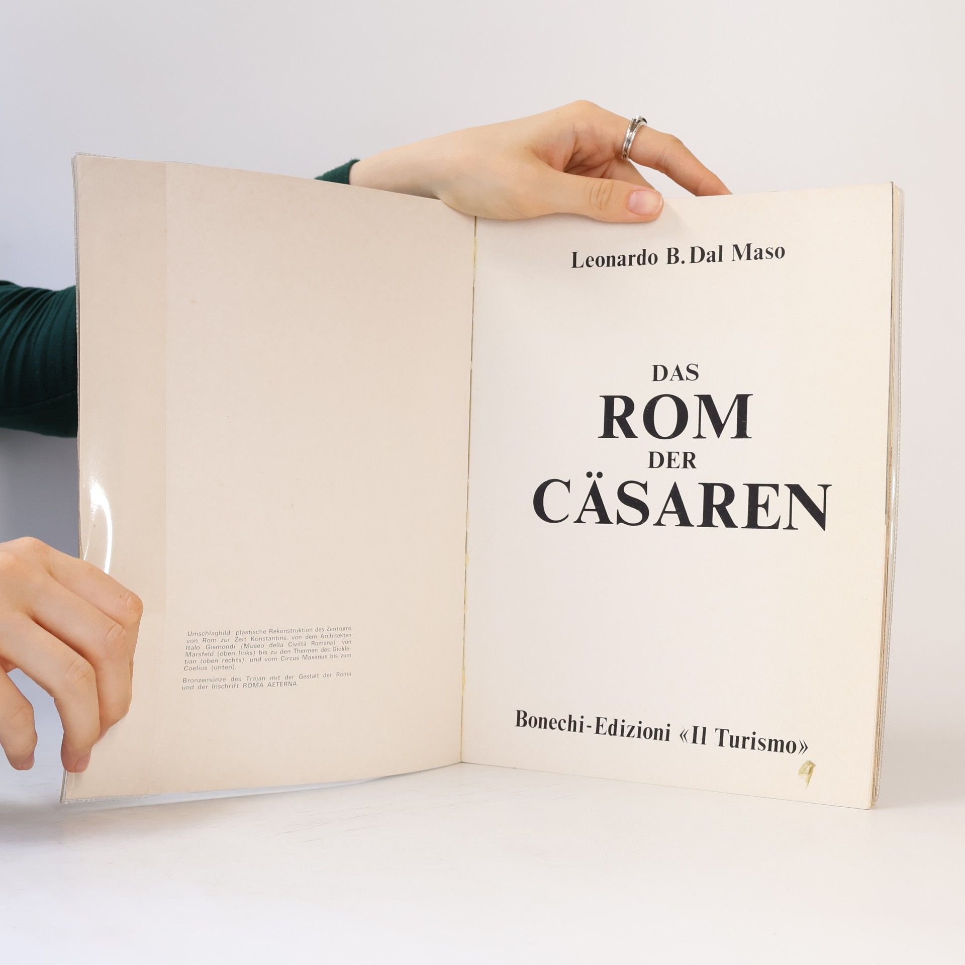 Kolektiv autorů Das Rom der Cäsaren