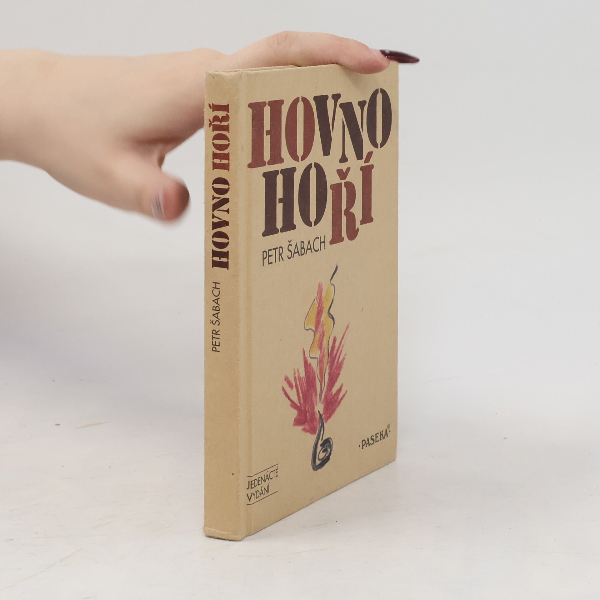 Petr Šabach Hovno hoří