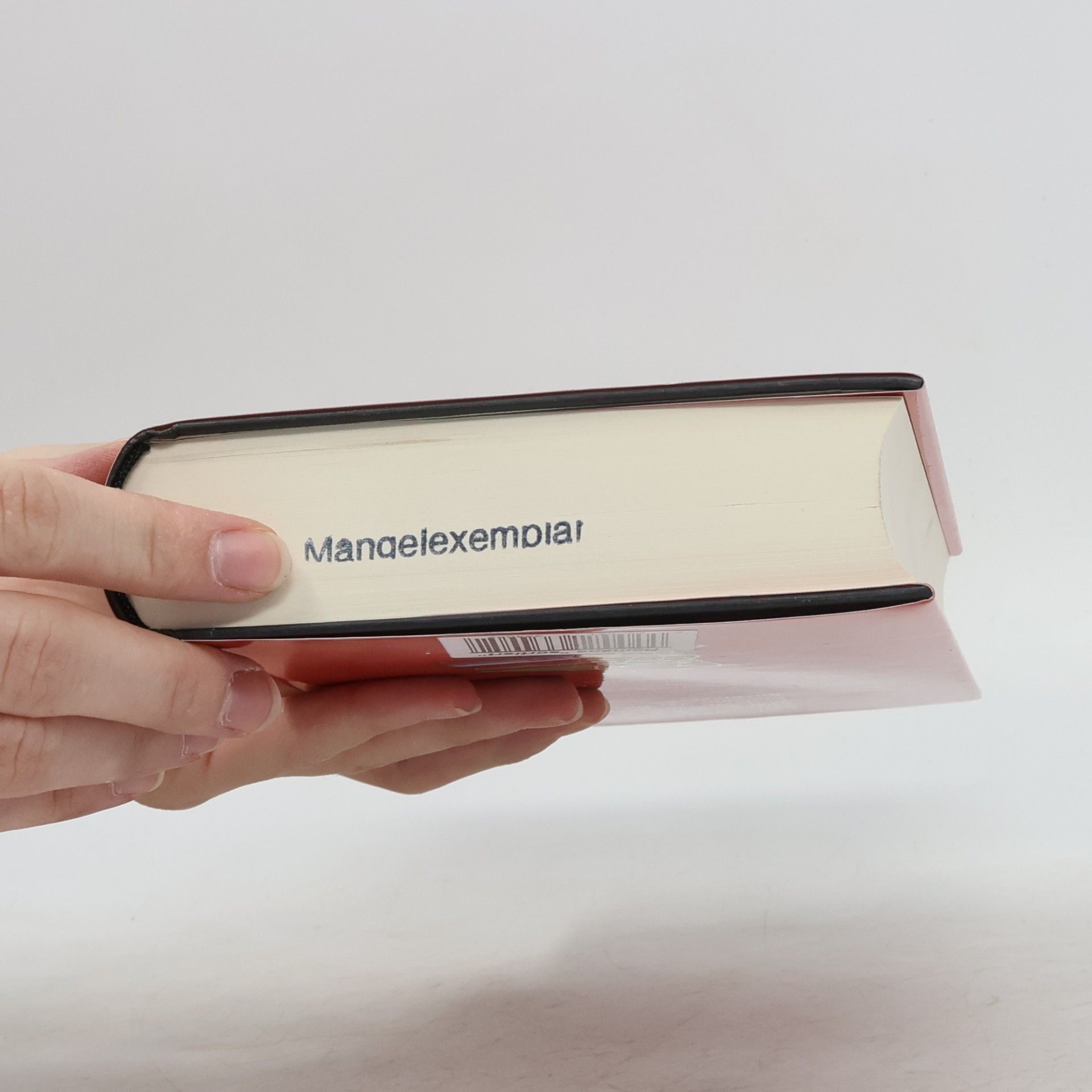 Anna Porter Mord auf der Buchmesse