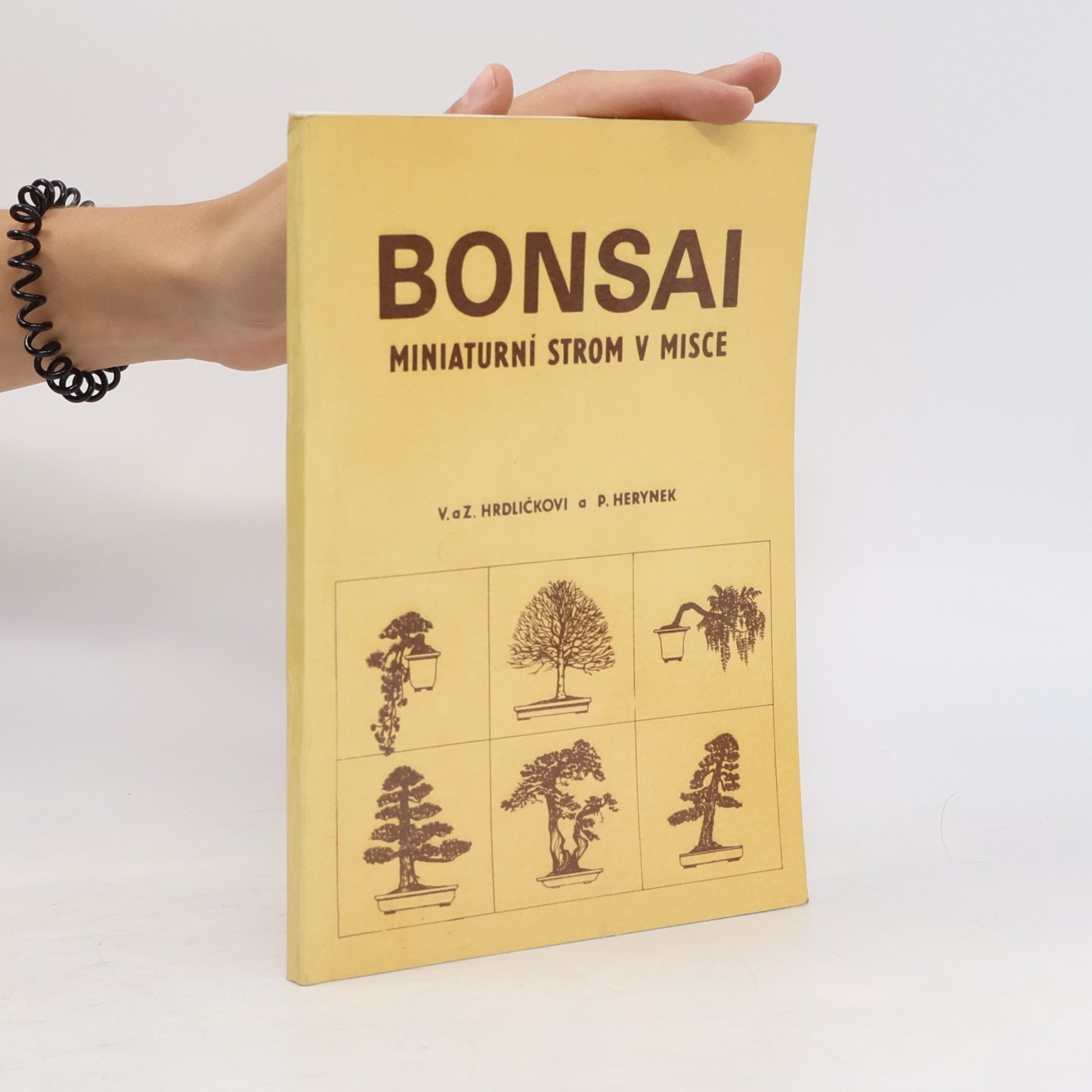 Zdeněk Hrdlička Bonsai. Miniaturní strom v misce