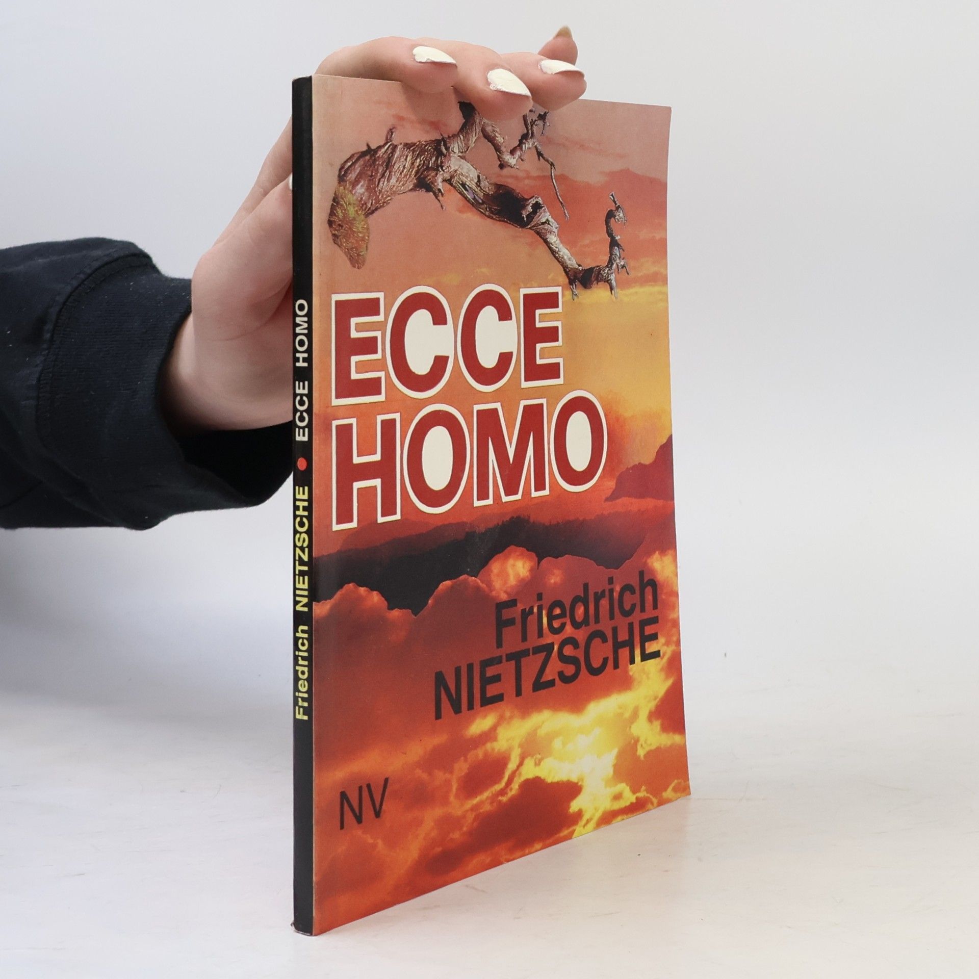 Friedrich Nietzsche Ecce homo