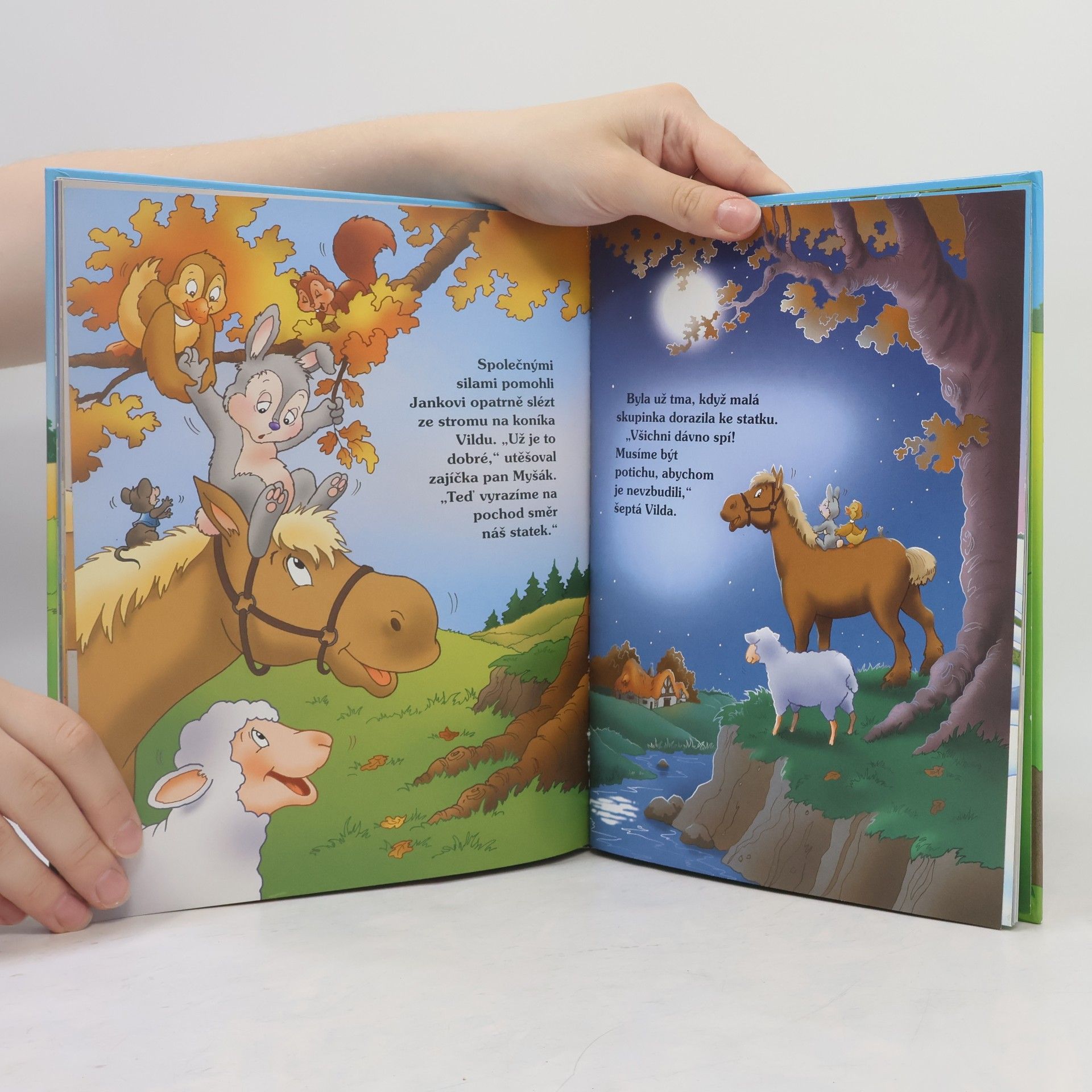 Autorenkollektiv Pohádky ze statku strýce Josefa
