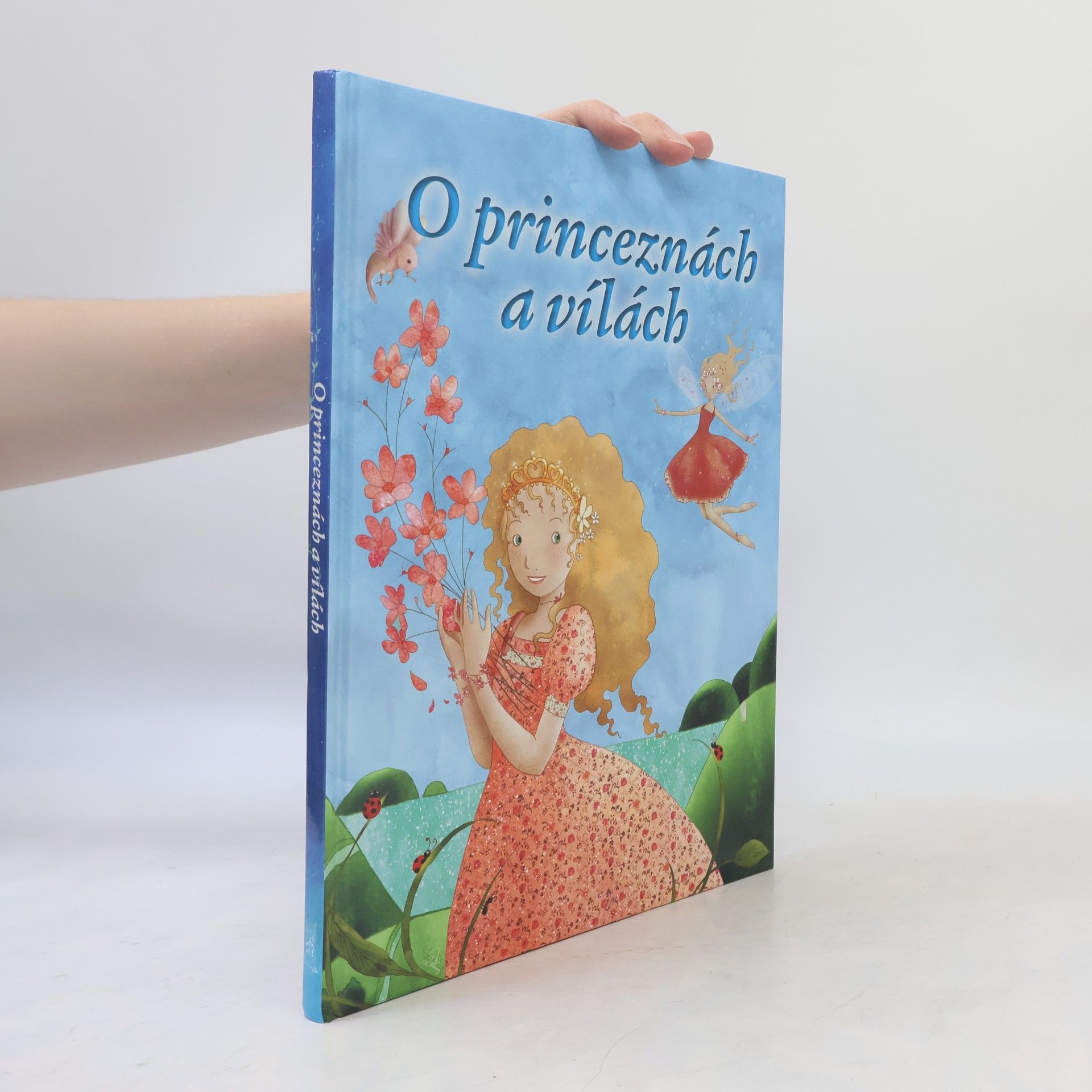 Autorenkollektiv O princeznách a vílách