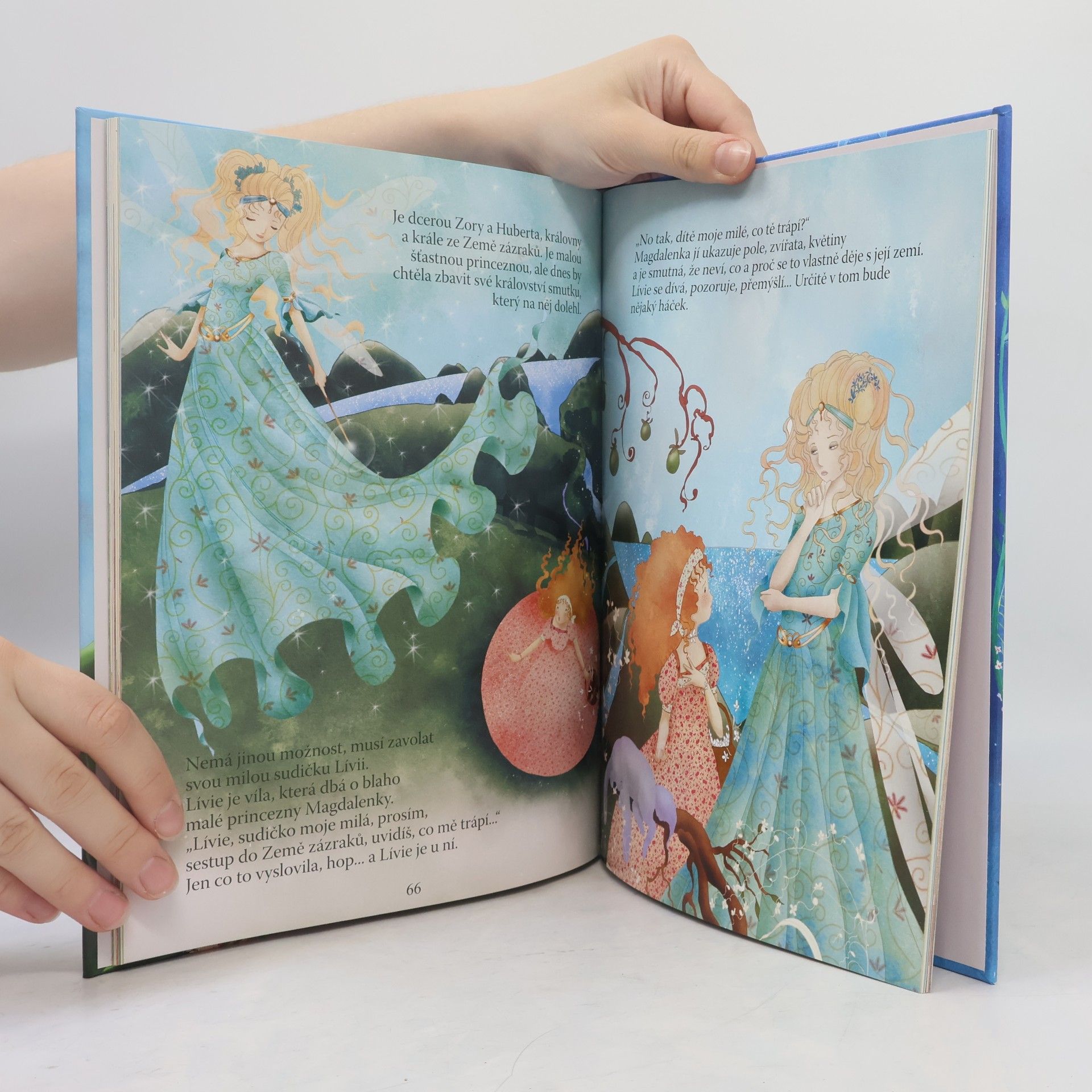 Autorenkollektiv O princeznách a vílách