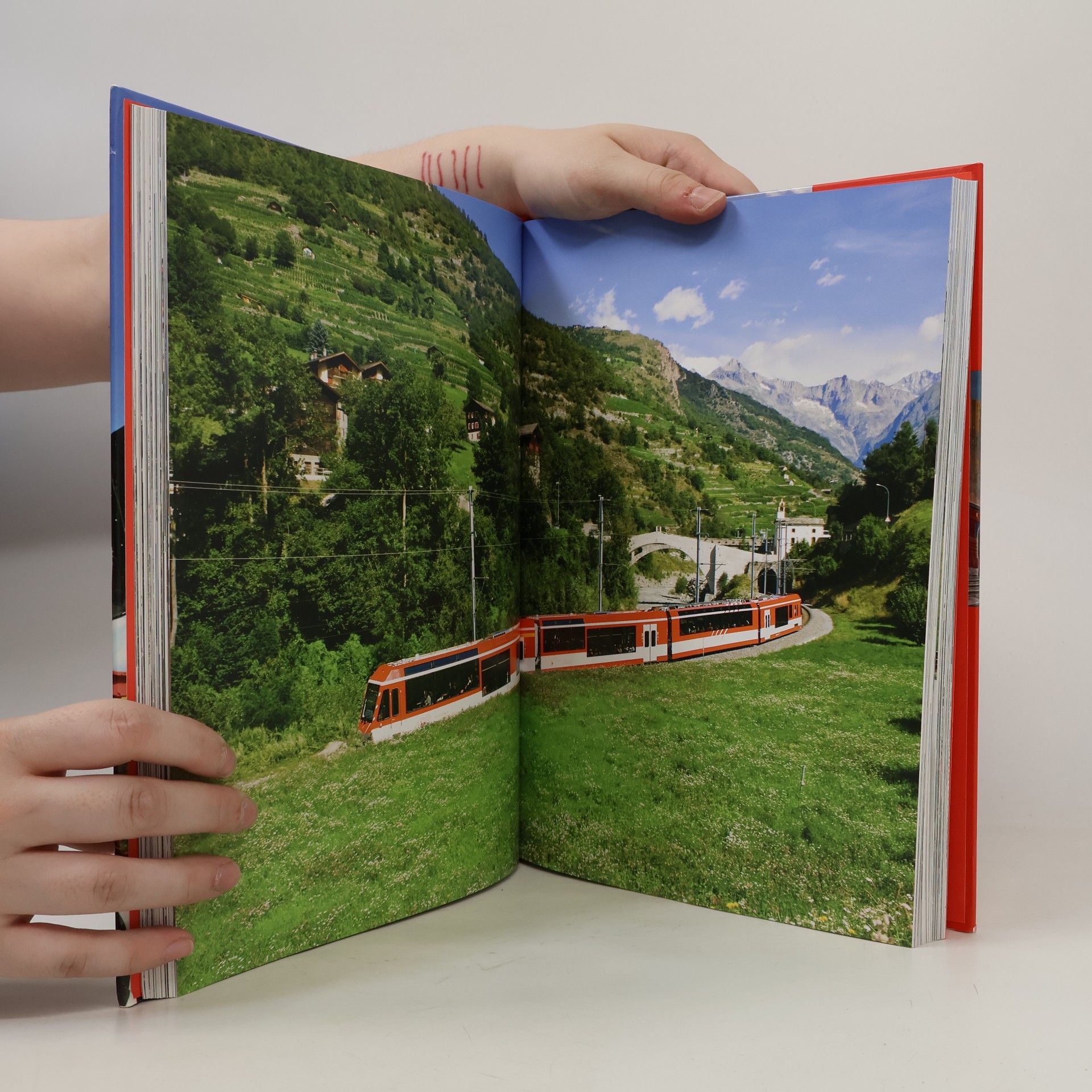 Michael Dörflinger Lokomotivy: Obrazový atlas