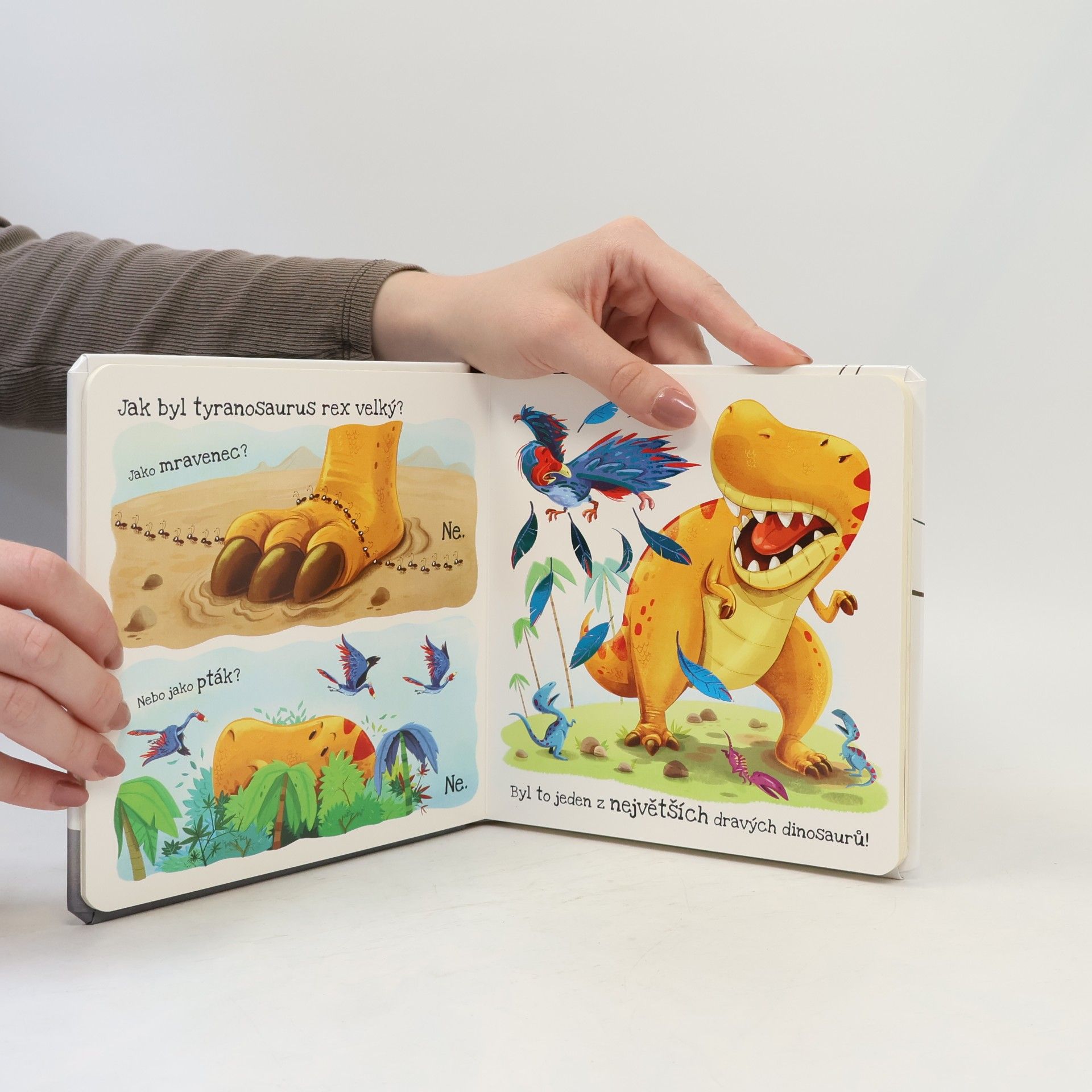 Suzanne Fossey Co má dinosaurus nejradši?