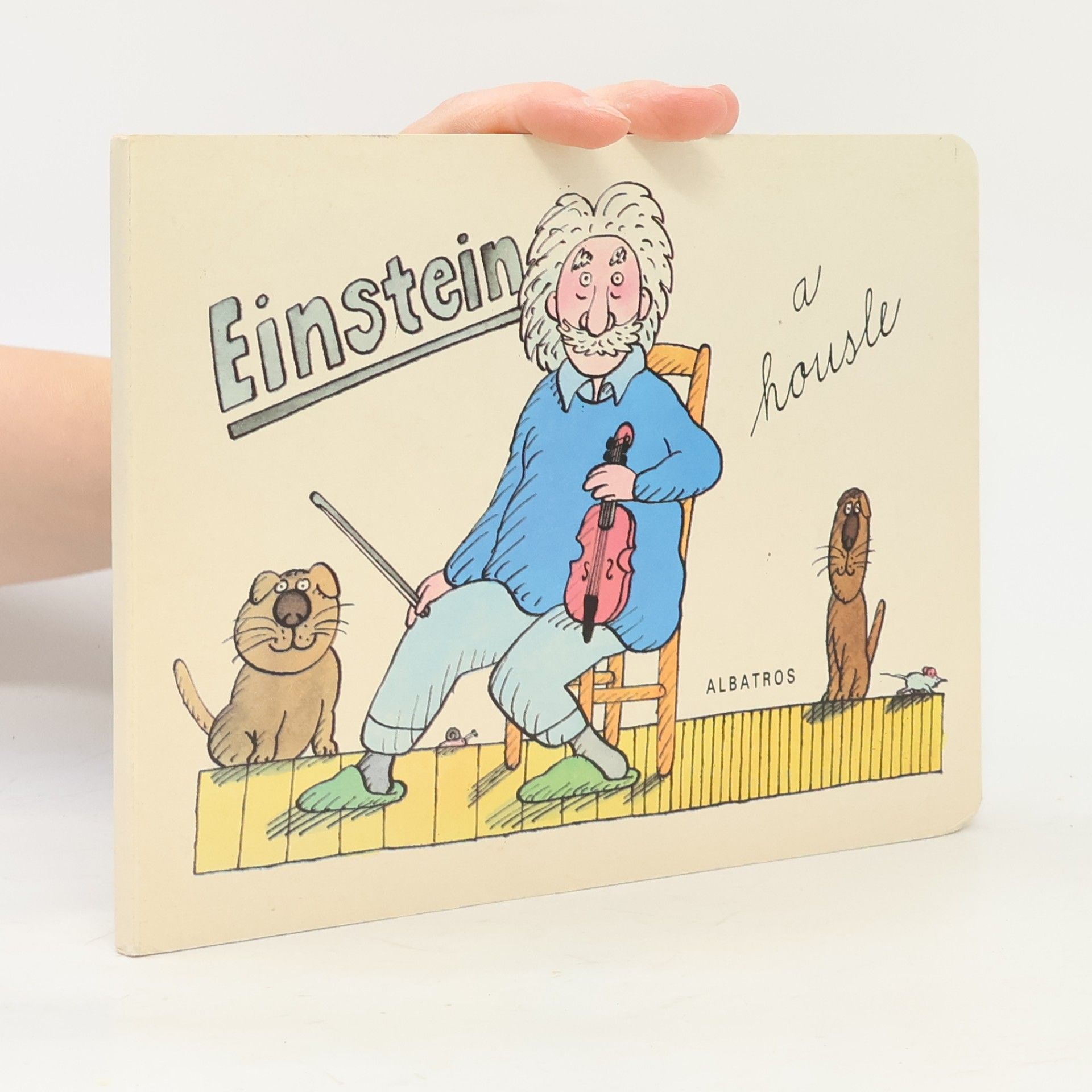 Kolektív autorov Einstein a housle