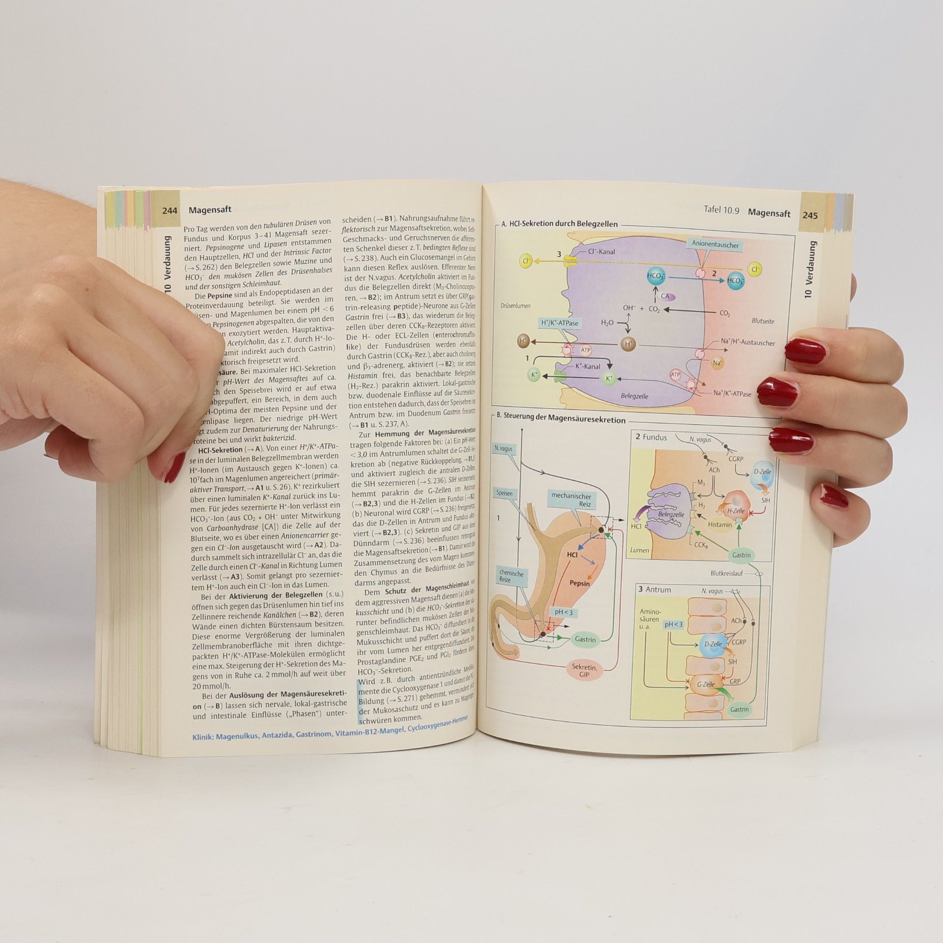 Stefan Silbernagl Taschenatlas Physiologie