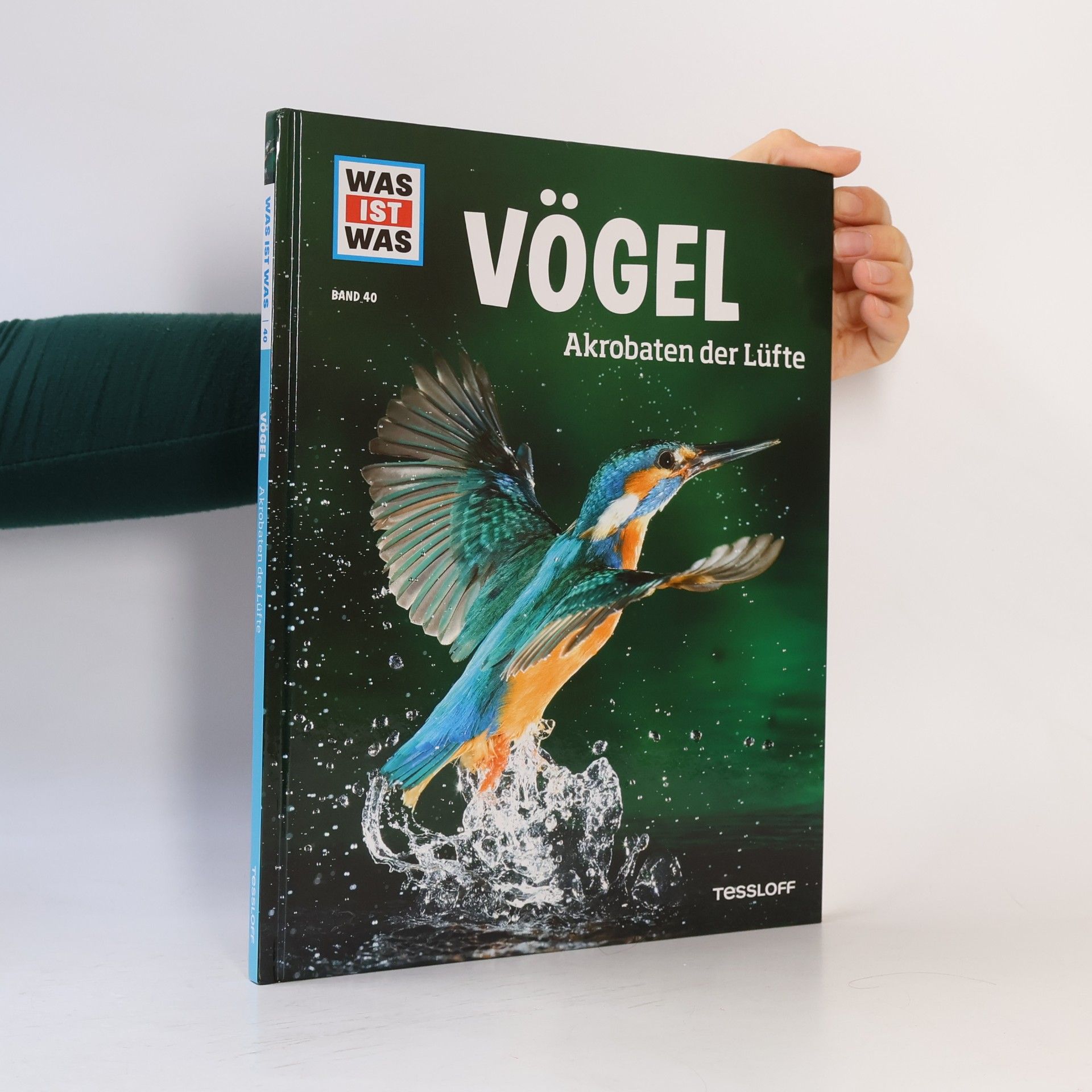 Alexandra Werdes Vögel