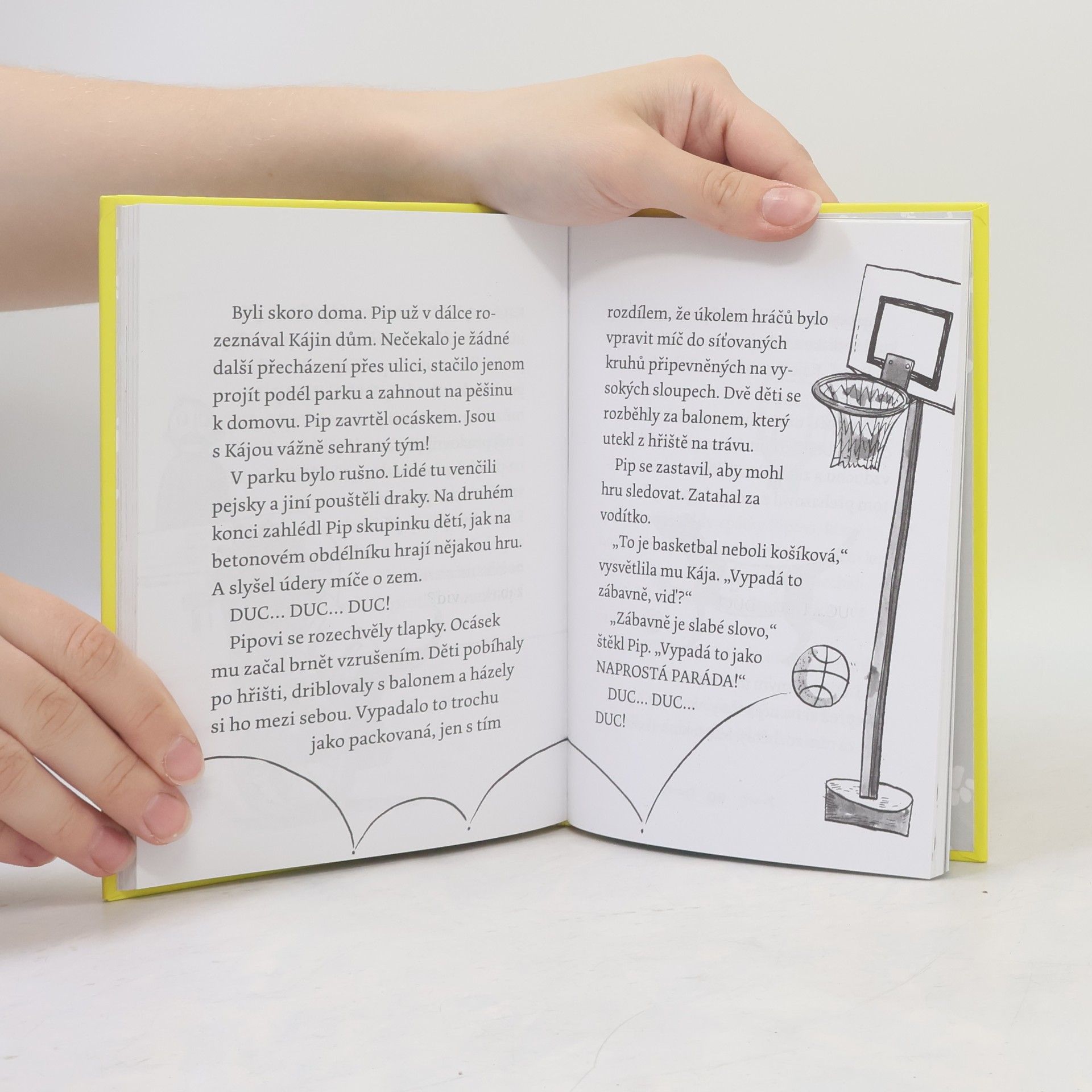 Gill Lewis Špekáčkova psí akademie. Pip a Přátelská packa