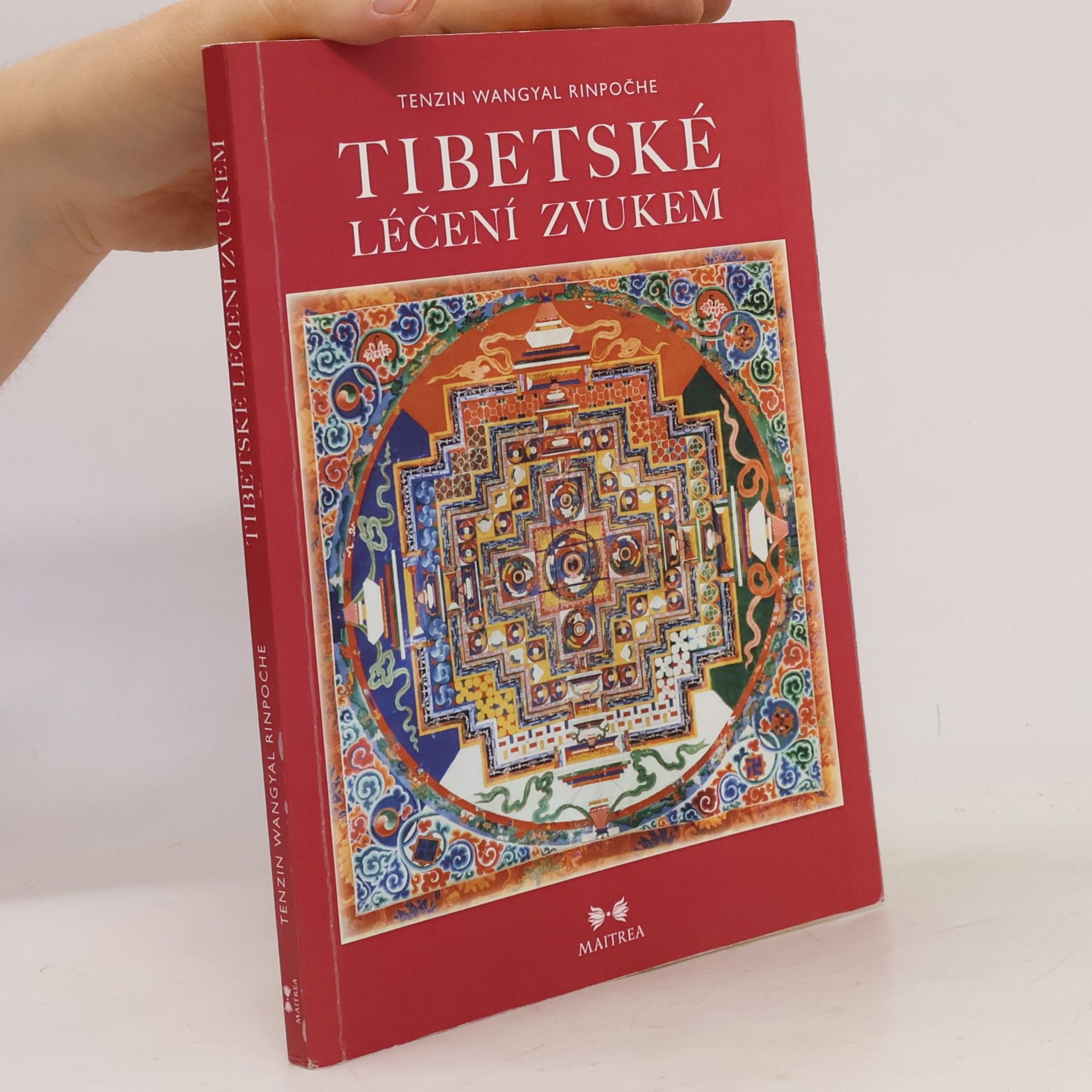 Tändzin Wanggjal Tibetské léčení zvukem