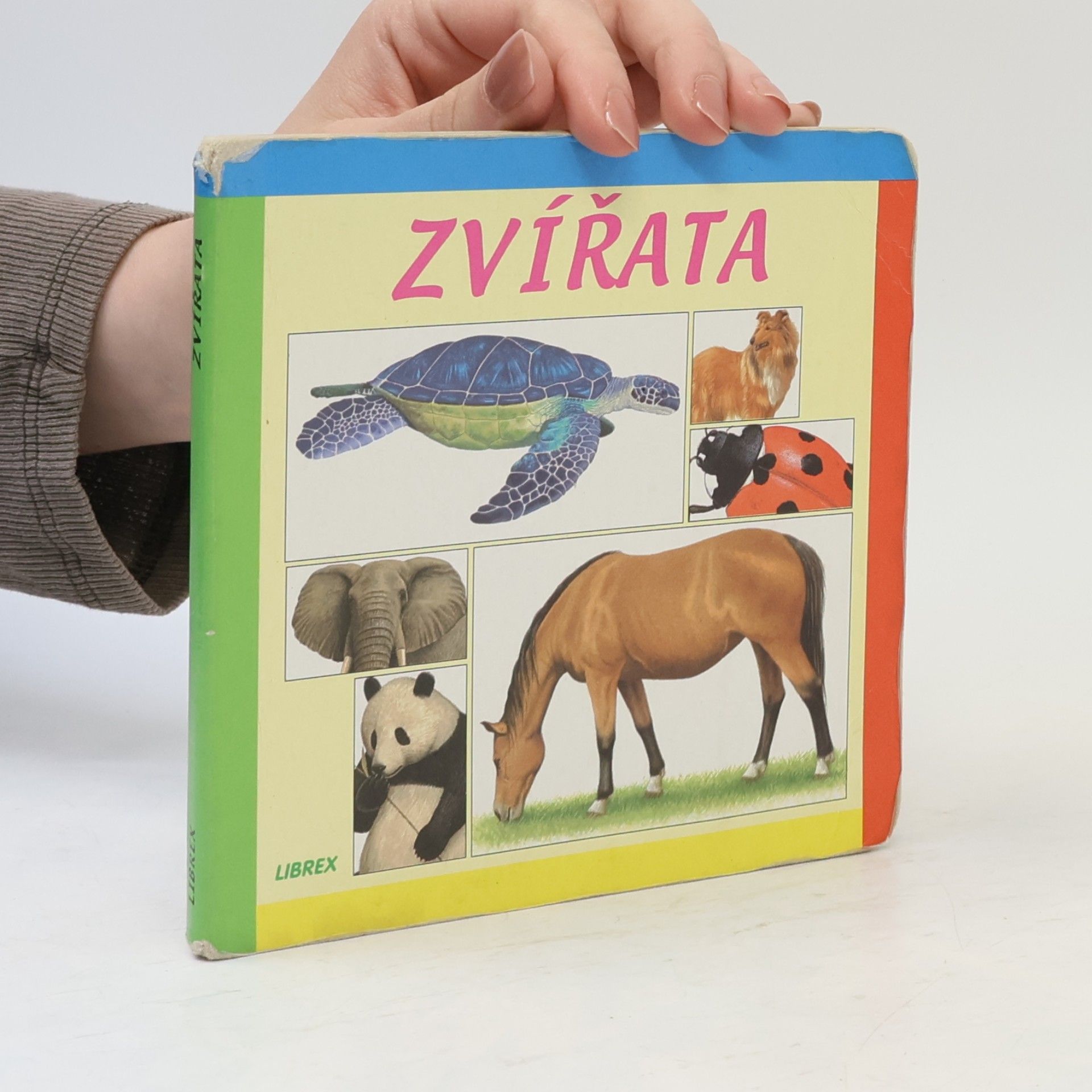 Autorenkollektiv Zvířata