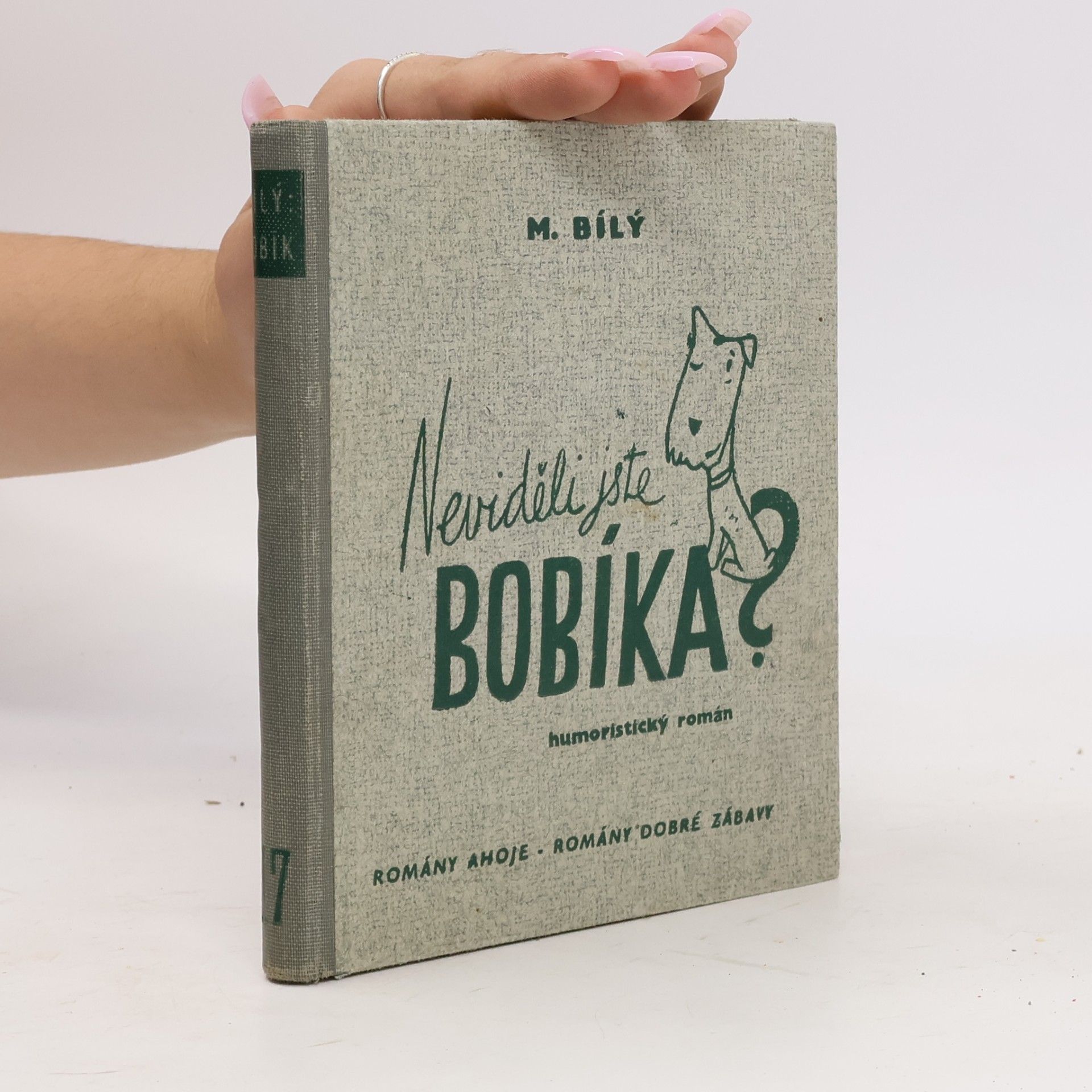 Neviděli jste Bobíka?