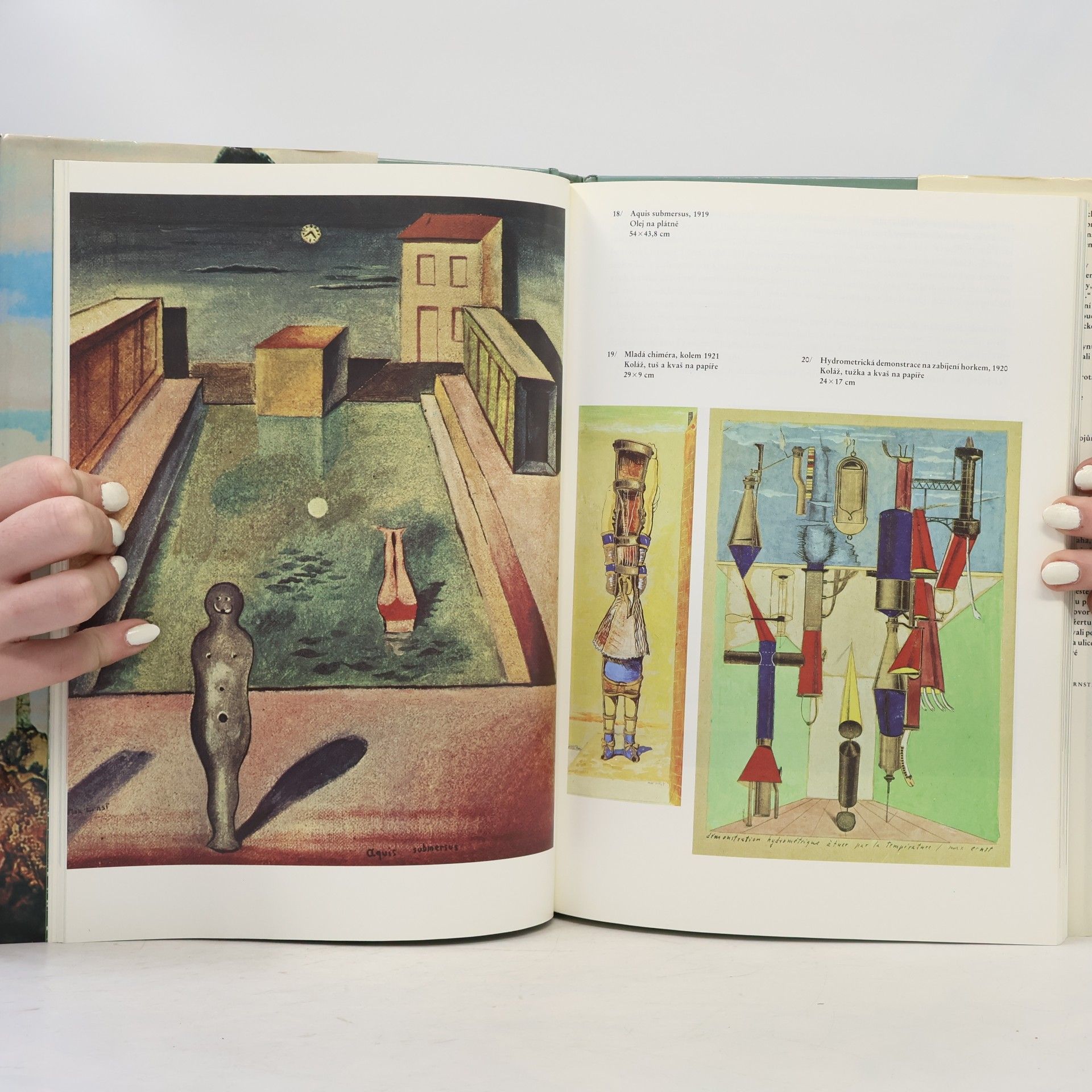 Pere Gimferrer i Torrens Max Ernst, neboli, Rozplývání identity