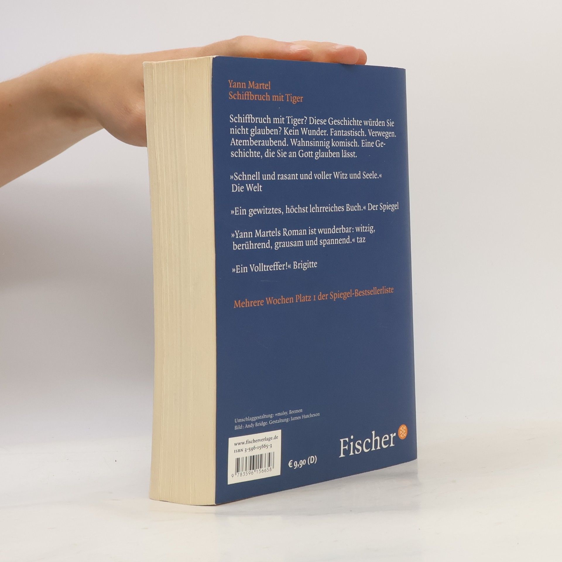 Yann Martel Schiffbruch mit Tiger