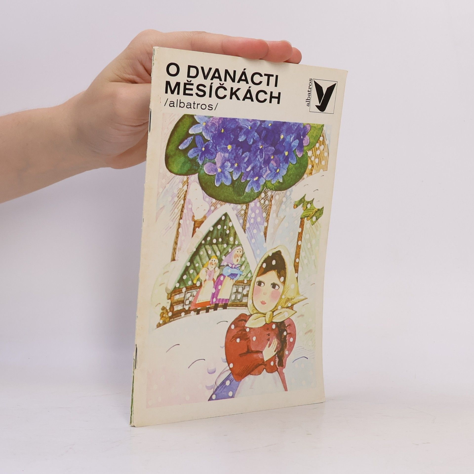 Collectif d'auteurs O dvanácti měsíčkách