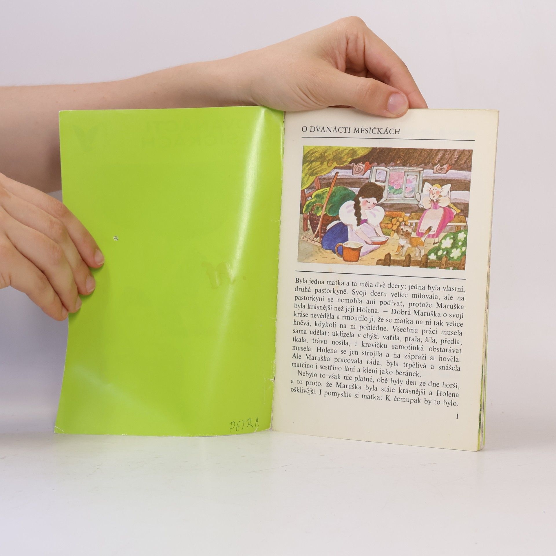 Collectif d'auteurs O dvanácti měsíčkách