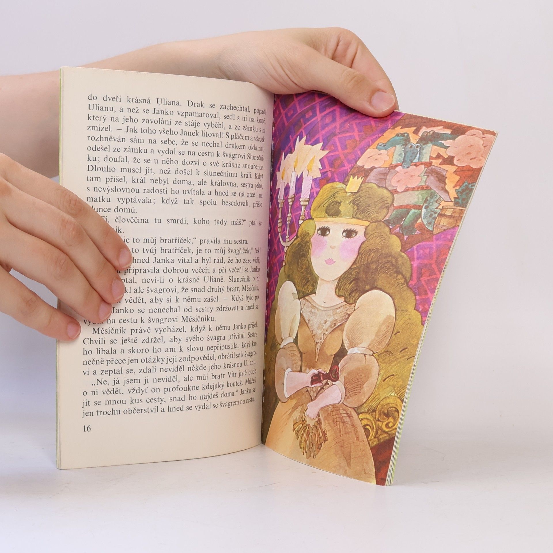 Collectif d'auteurs O dvanácti měsíčkách