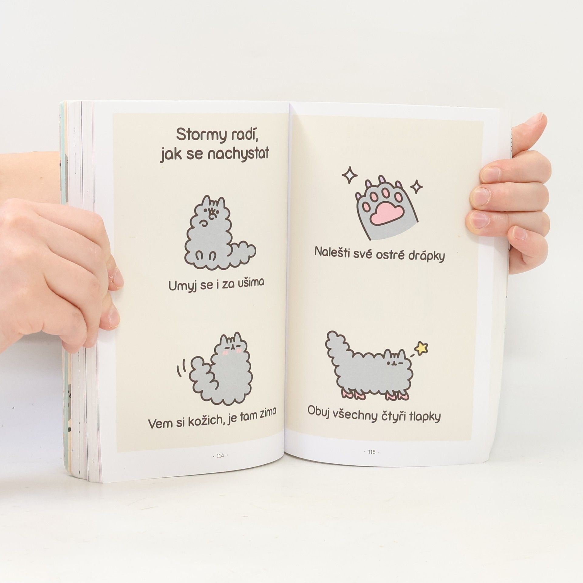 Claire Belton Pusheen : košišatý návod na život