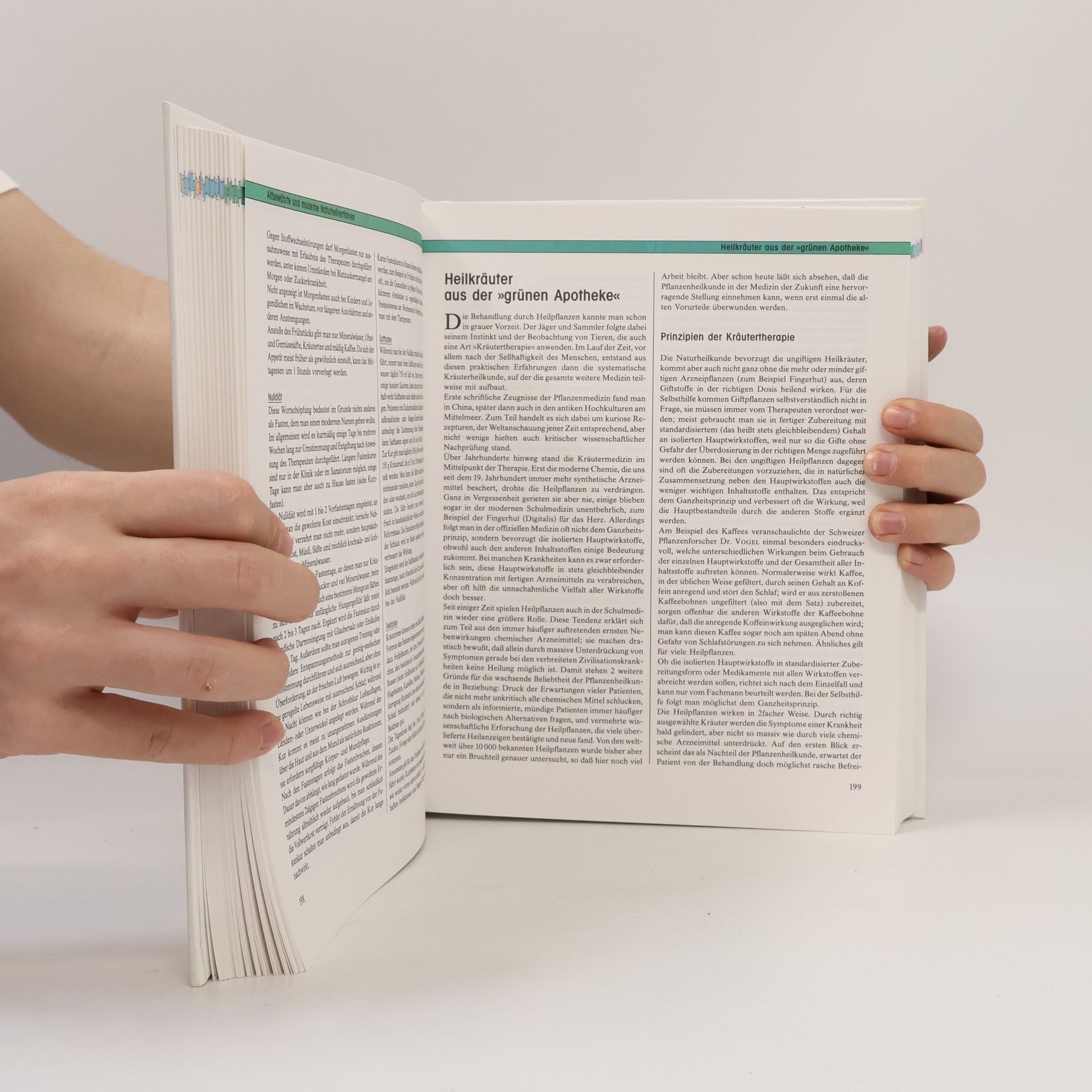 Gerhard Leibold Das moderne Hausbuch der Naturheilkunde