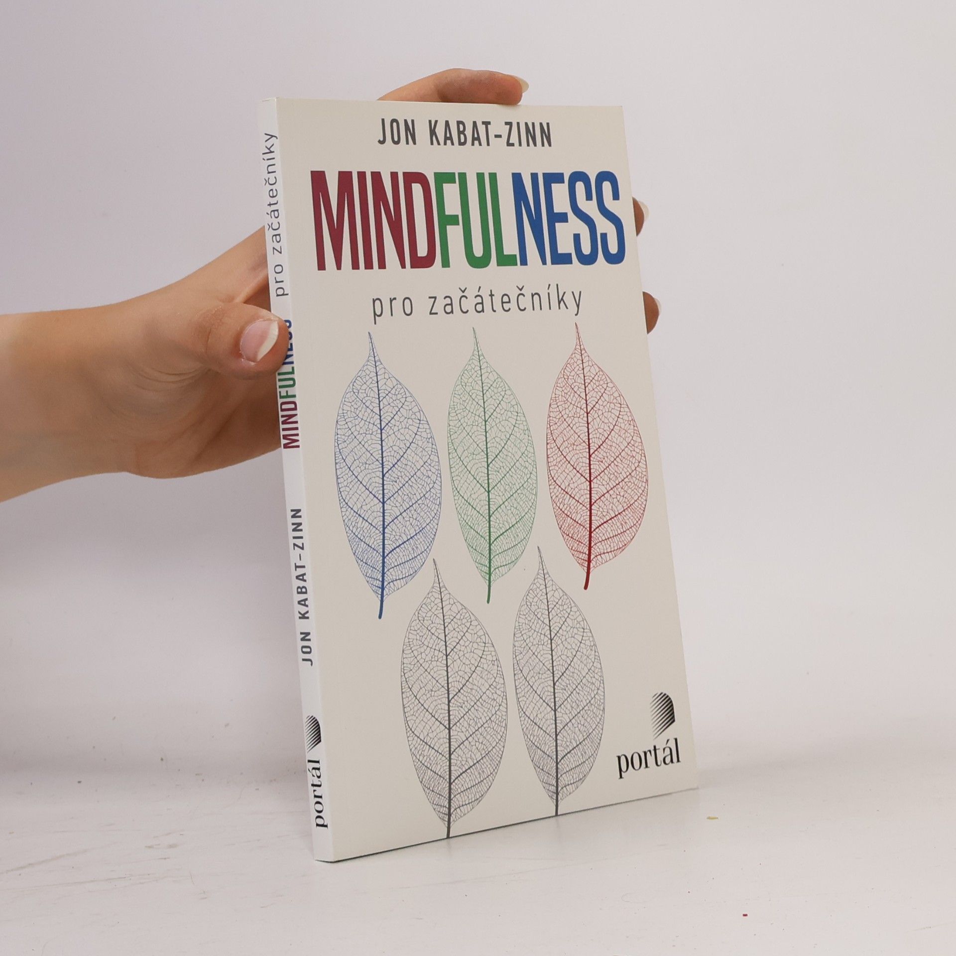 Ondřej Fafejta Mindfulness pro začátečníky