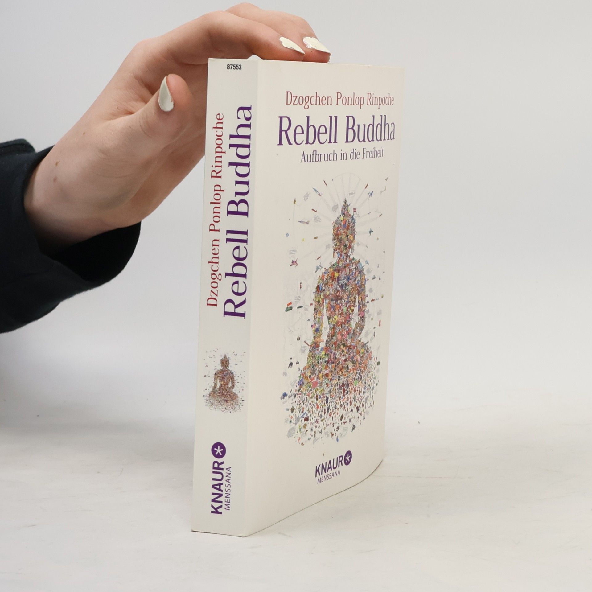 Rdzogs chen dpon slob Rebell Buddha