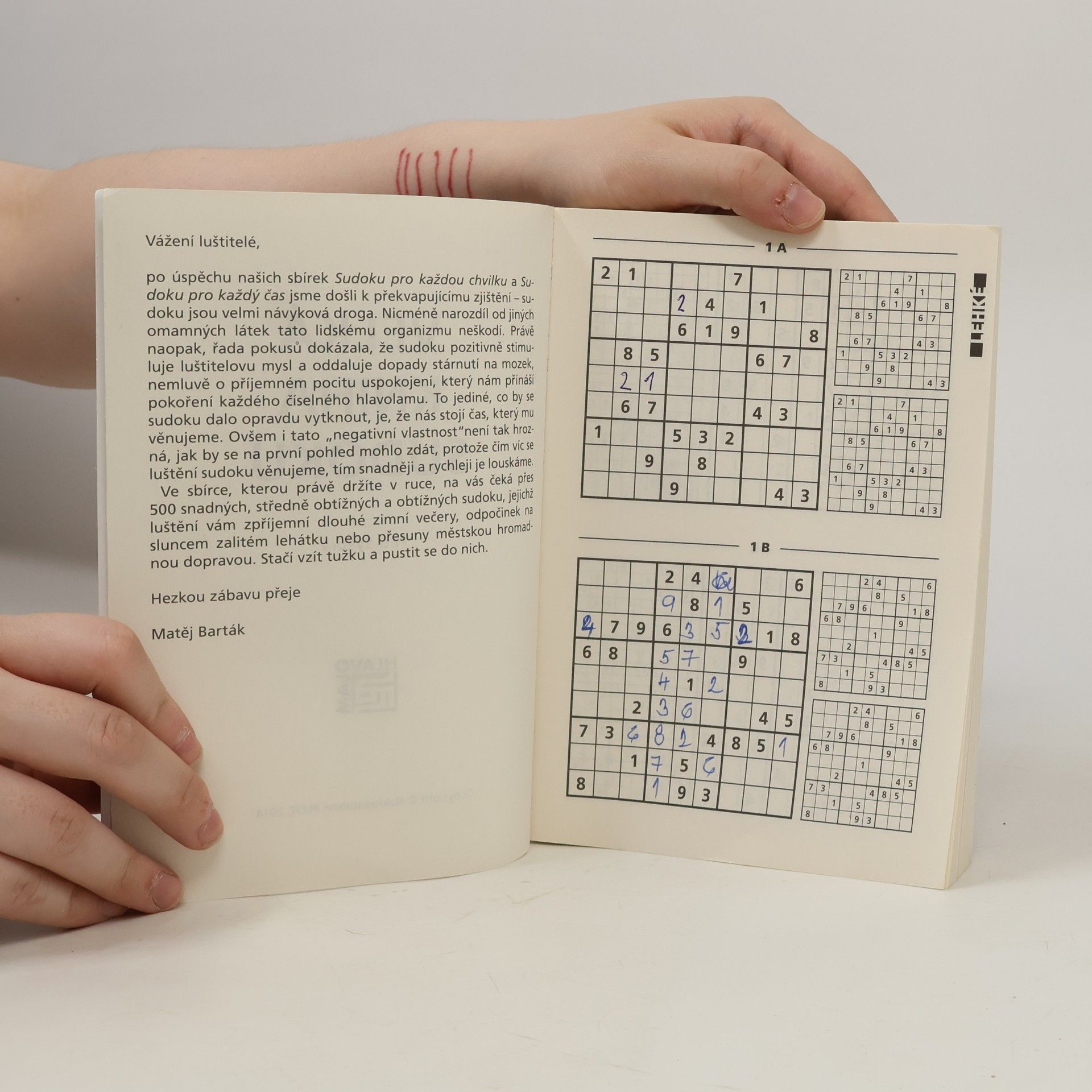 Petr Sýkora Velká kniha sudoku