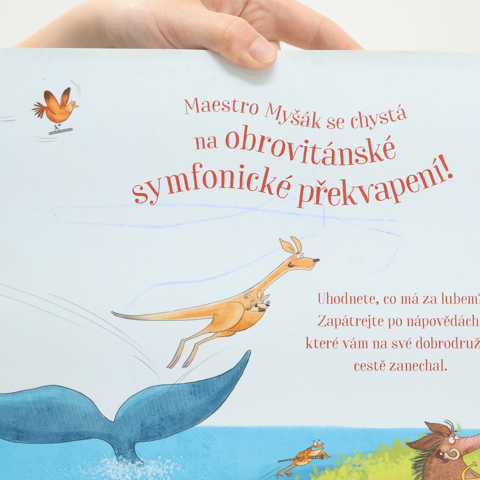 Dan Brown Divoká symfonie