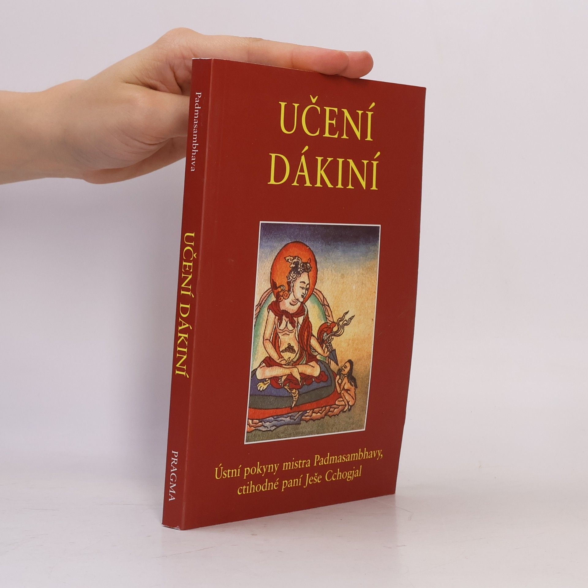 Padma Sambhava Učení dákiní : ústní pokyny mistra Padmasambhavy ctihodné paní Ješe Cchogjal