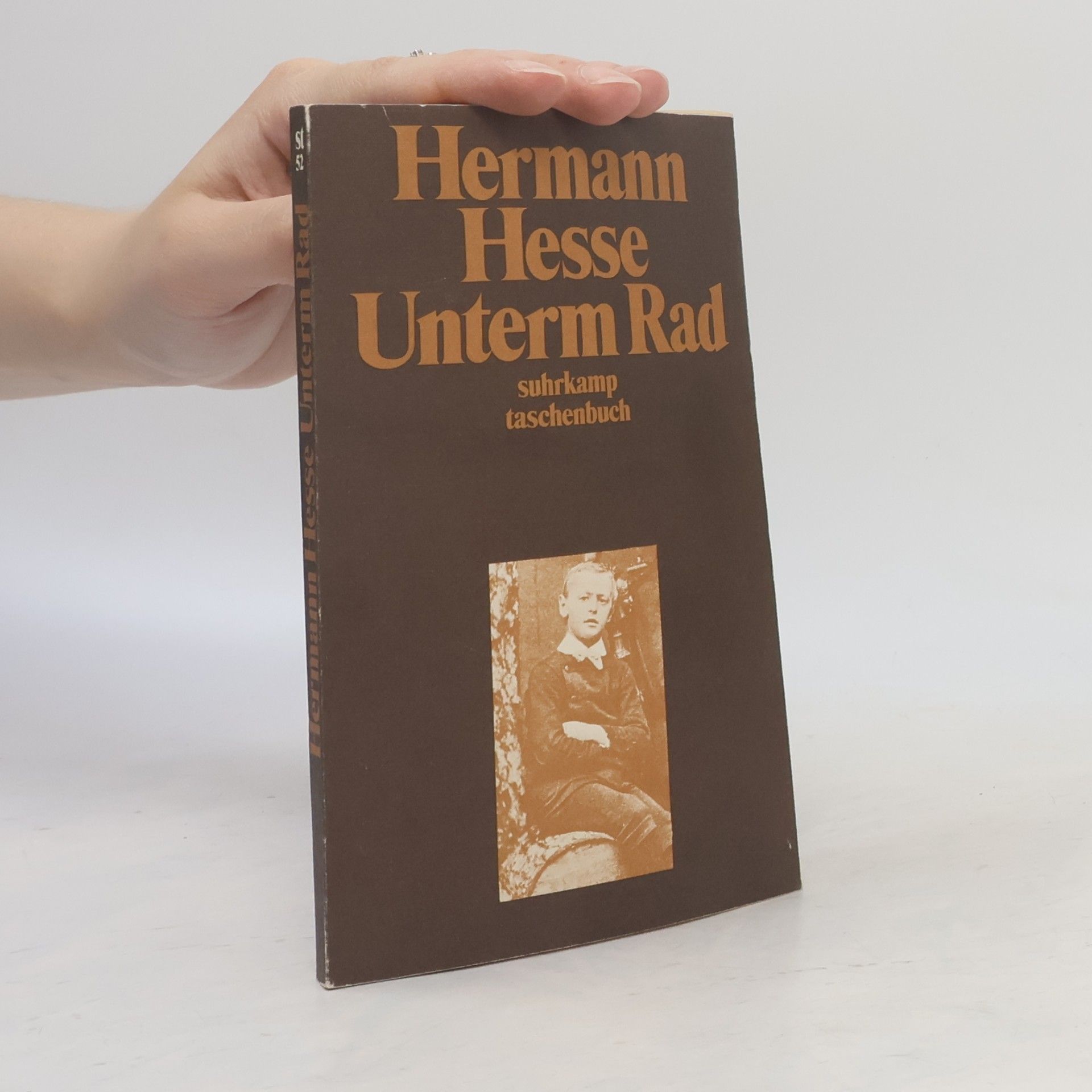 Hermann Hesse Unterm Rad