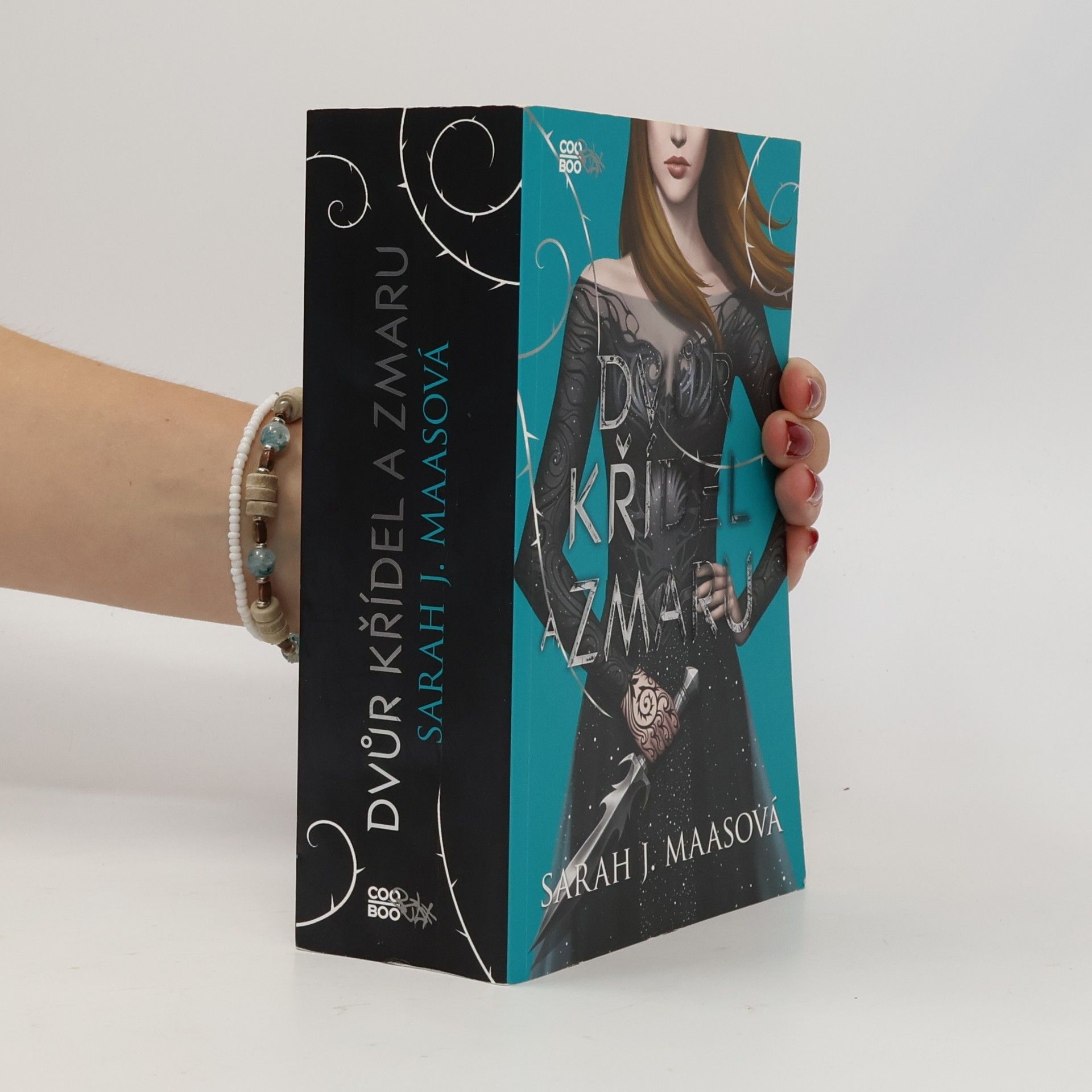 Sarah J. Maas Dvůr křídel a zmaru