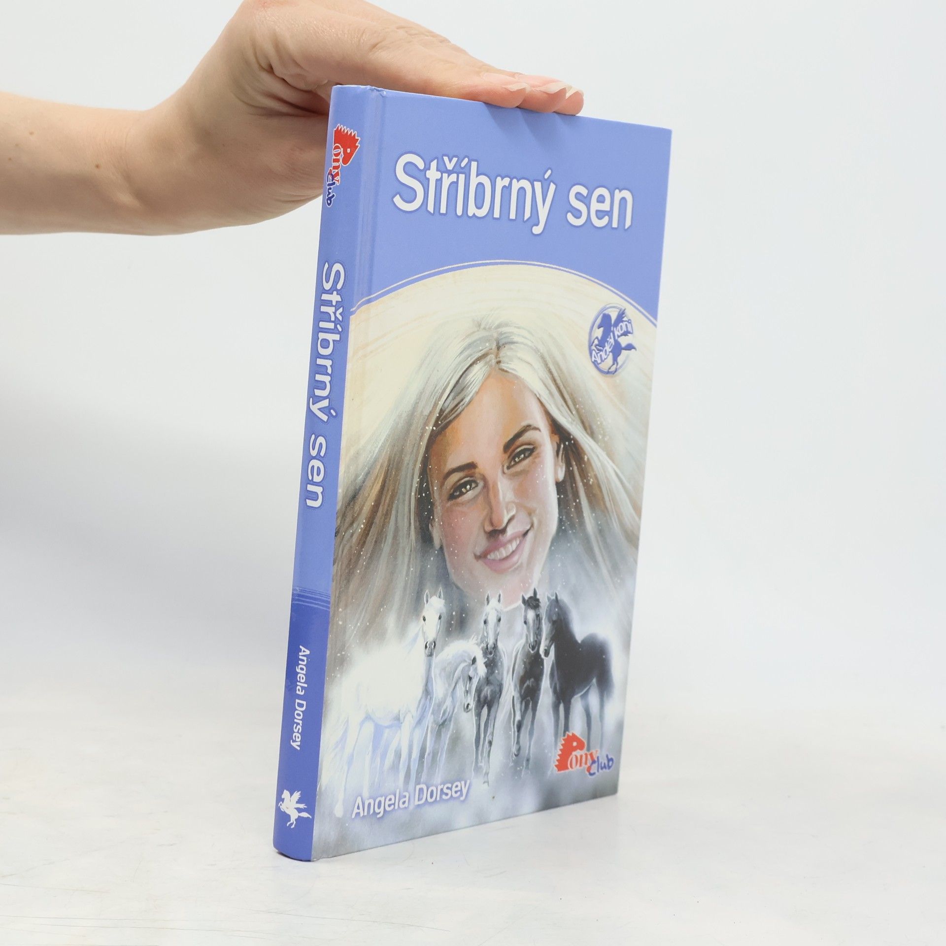 Angela Dorsey Stříbrný sen