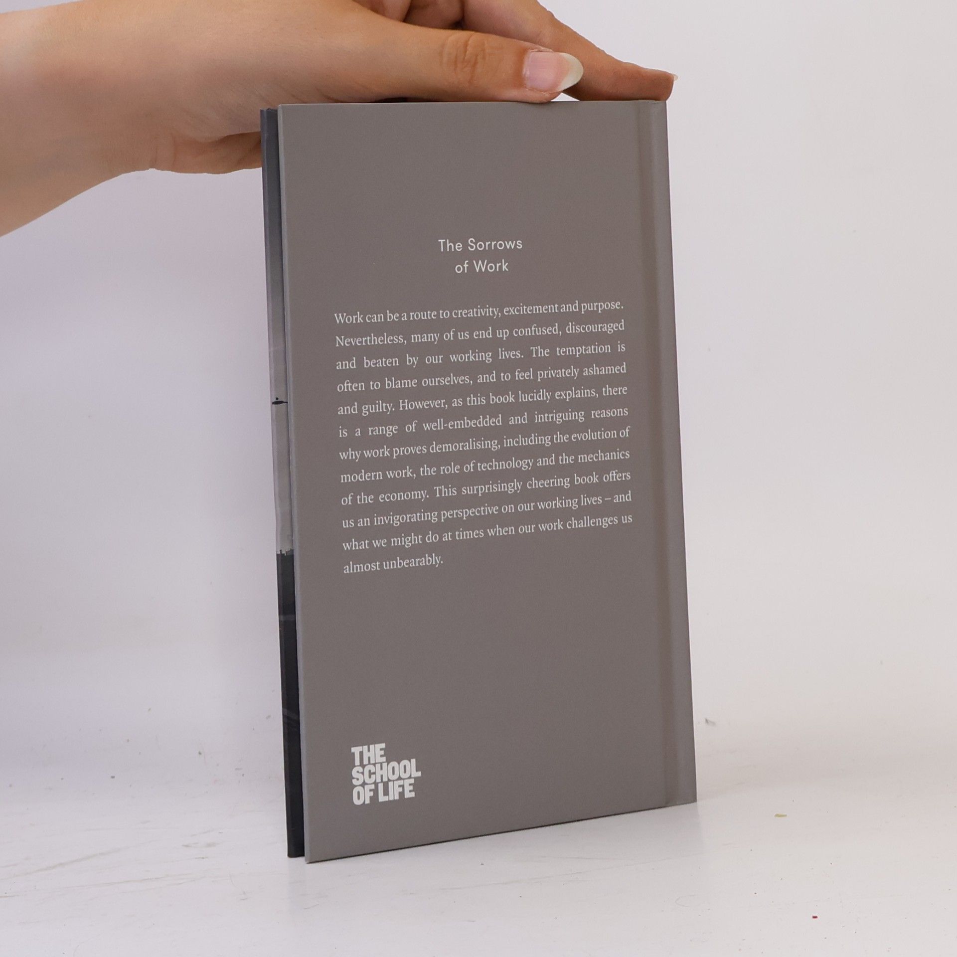 Alain de Botton The Sorrows of Work