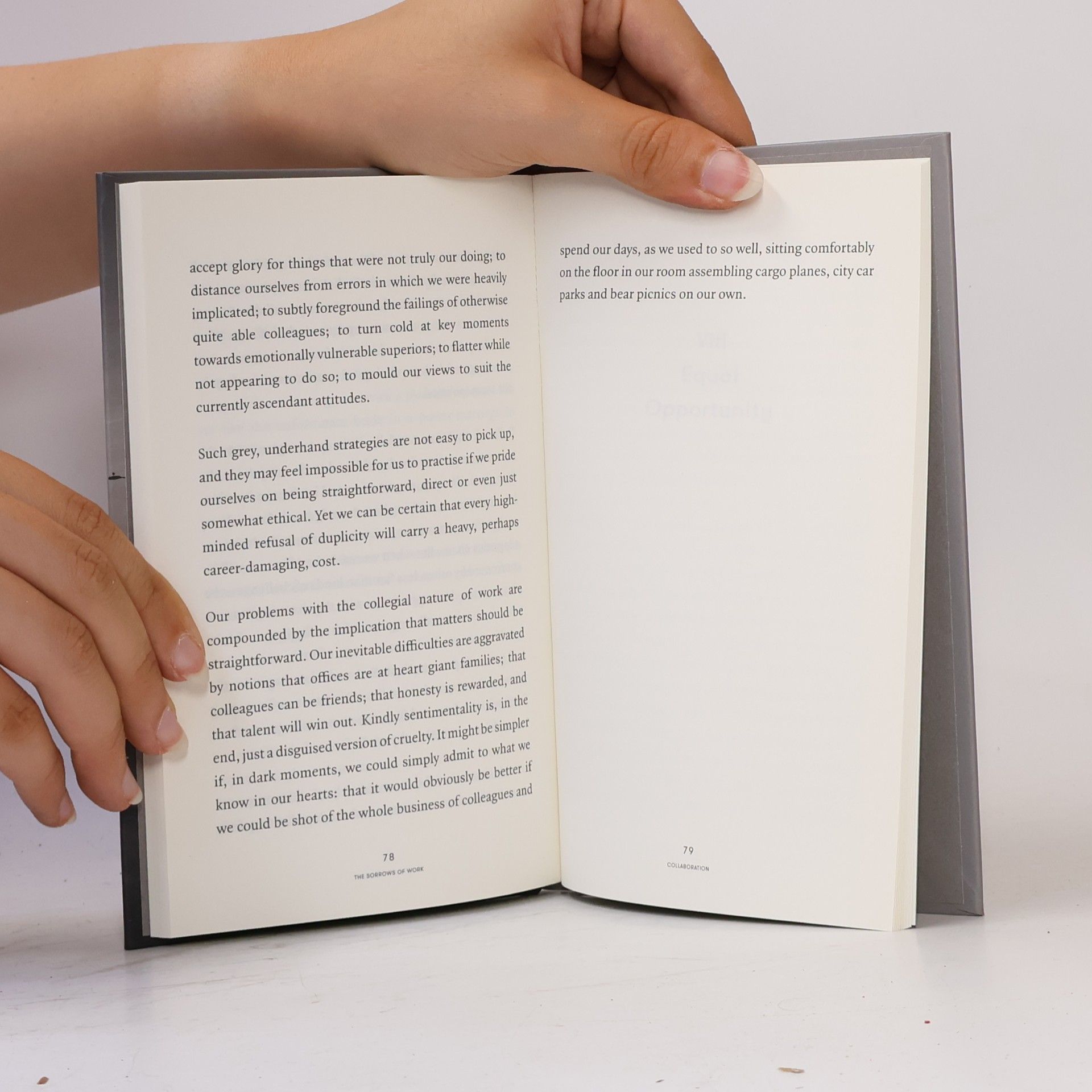 Alain de Botton The Sorrows of Work