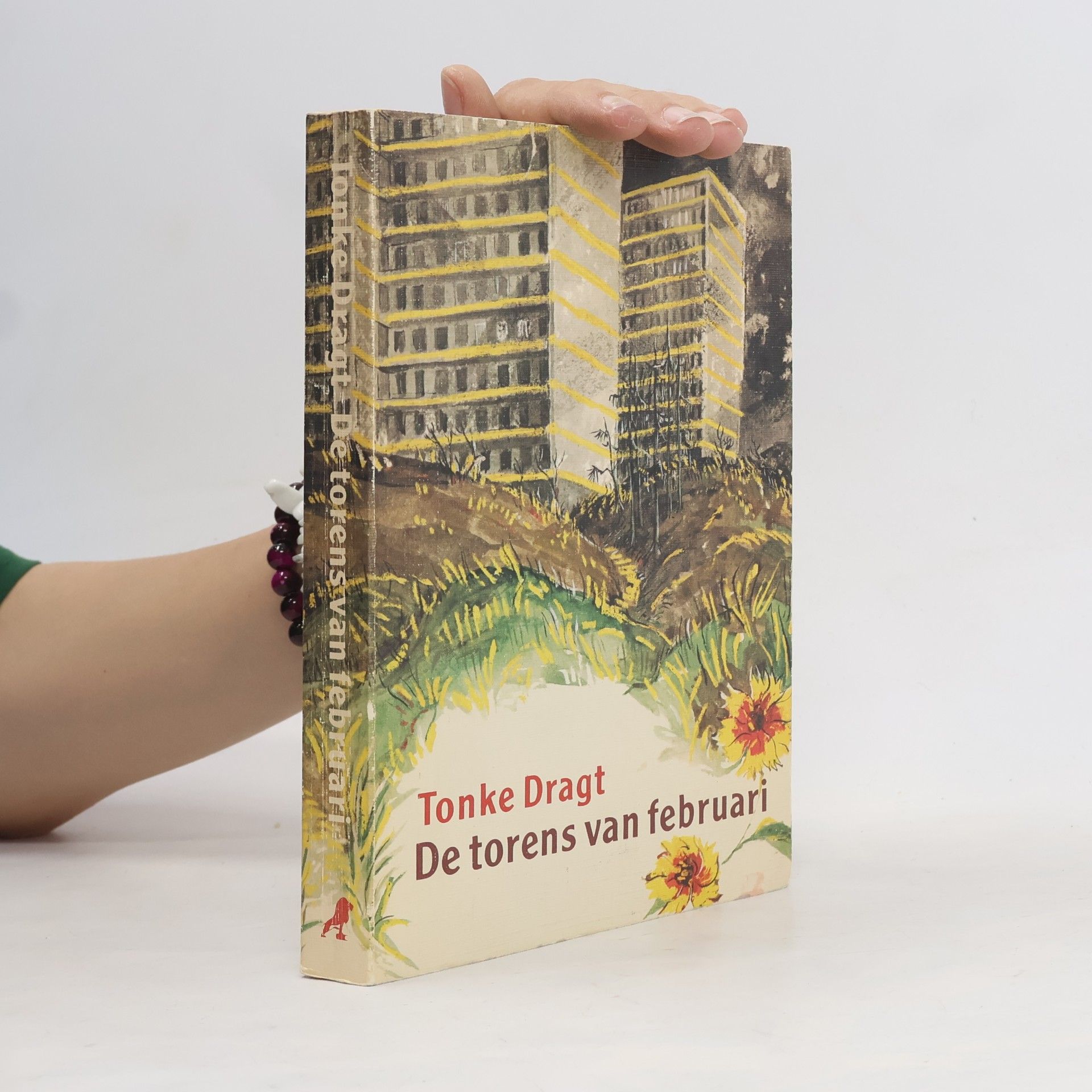 Tonke Dragt De torens van februari