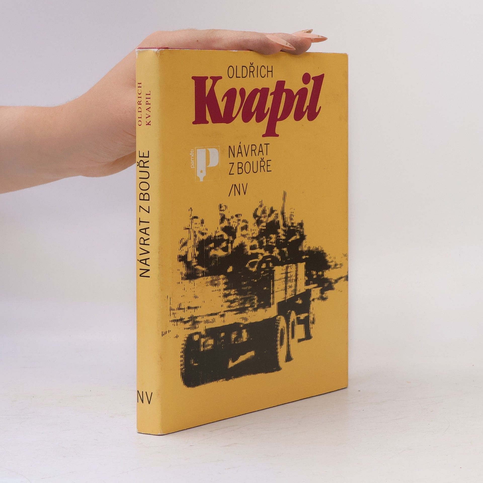 Oldřich Kvapil Návrat z bouře
