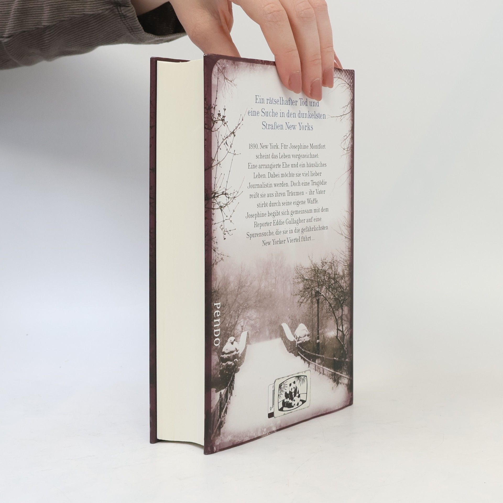 Jennifer Donnelly Strasse der Schatten