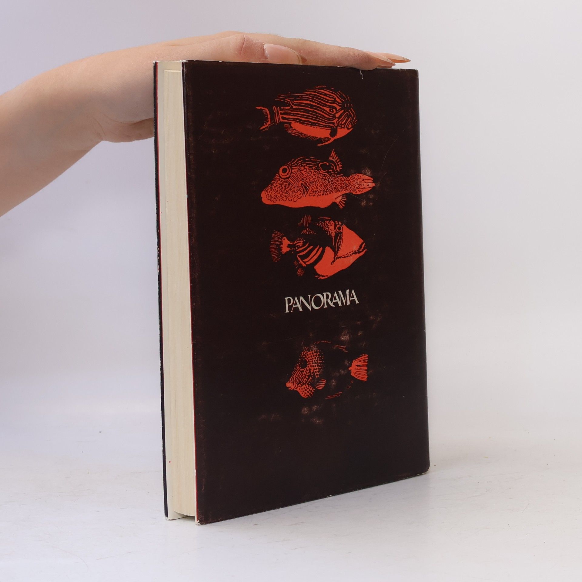 Jiřina Hauková Cesta kolem světa