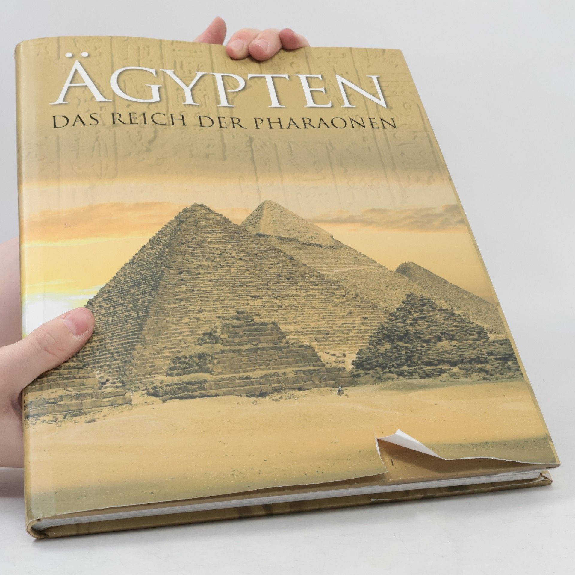 Robert Hamilton Ägypten : Reich der Pharaonen