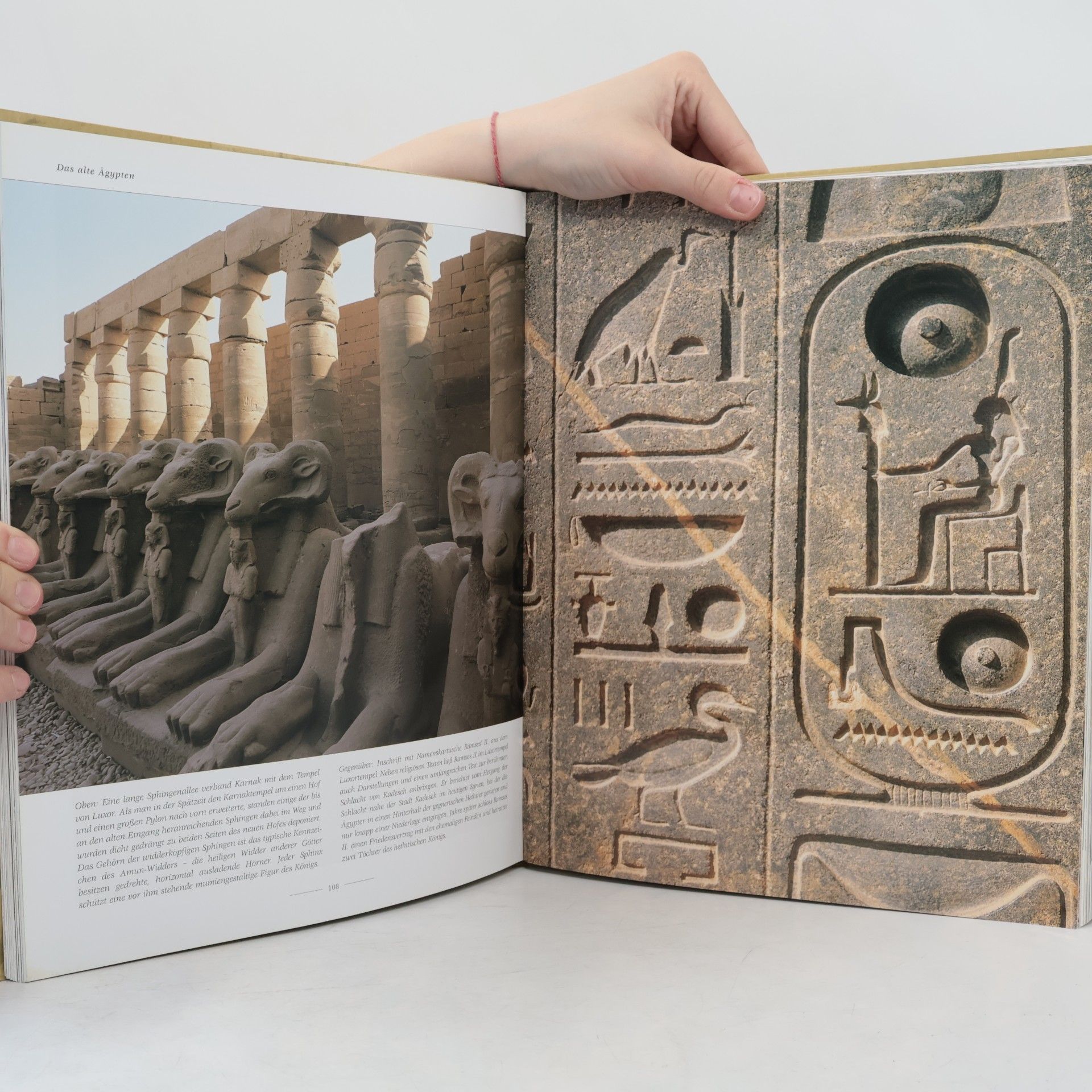 Robert Hamilton Ägypten : Reich der Pharaonen