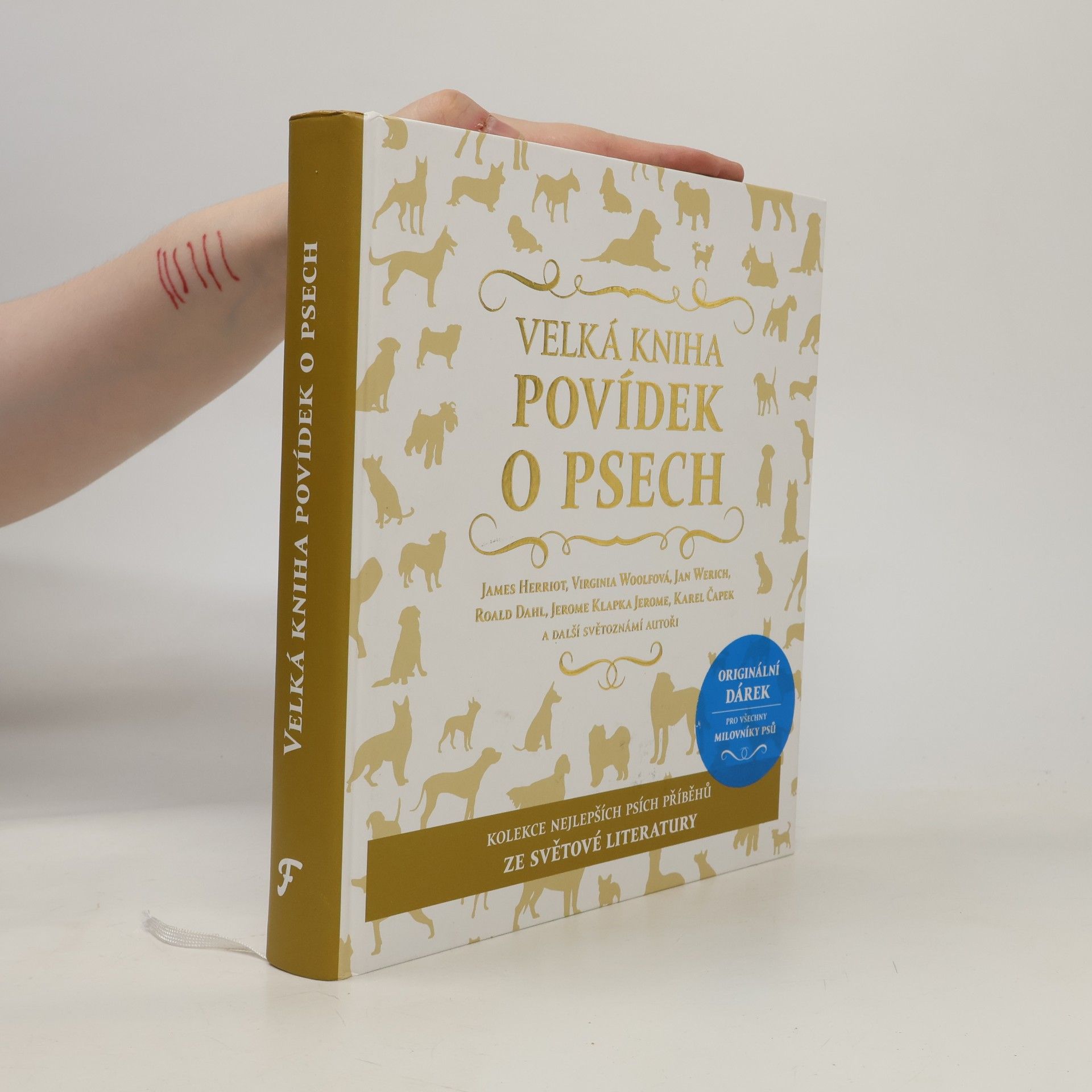 Collectif d'auteurs Velká kniha povídek o psech